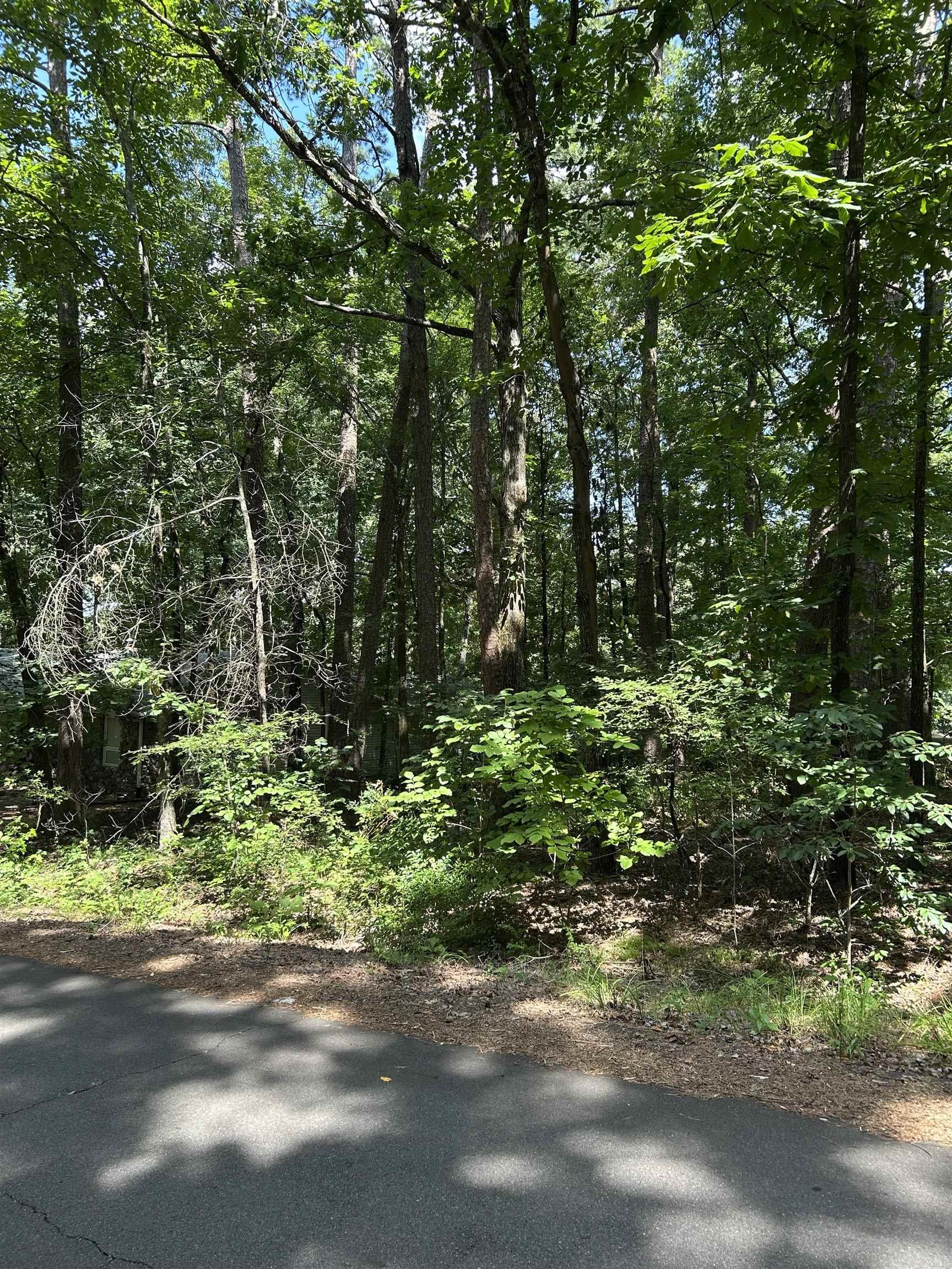 17 Ensenada  Hot Springs Village, AR