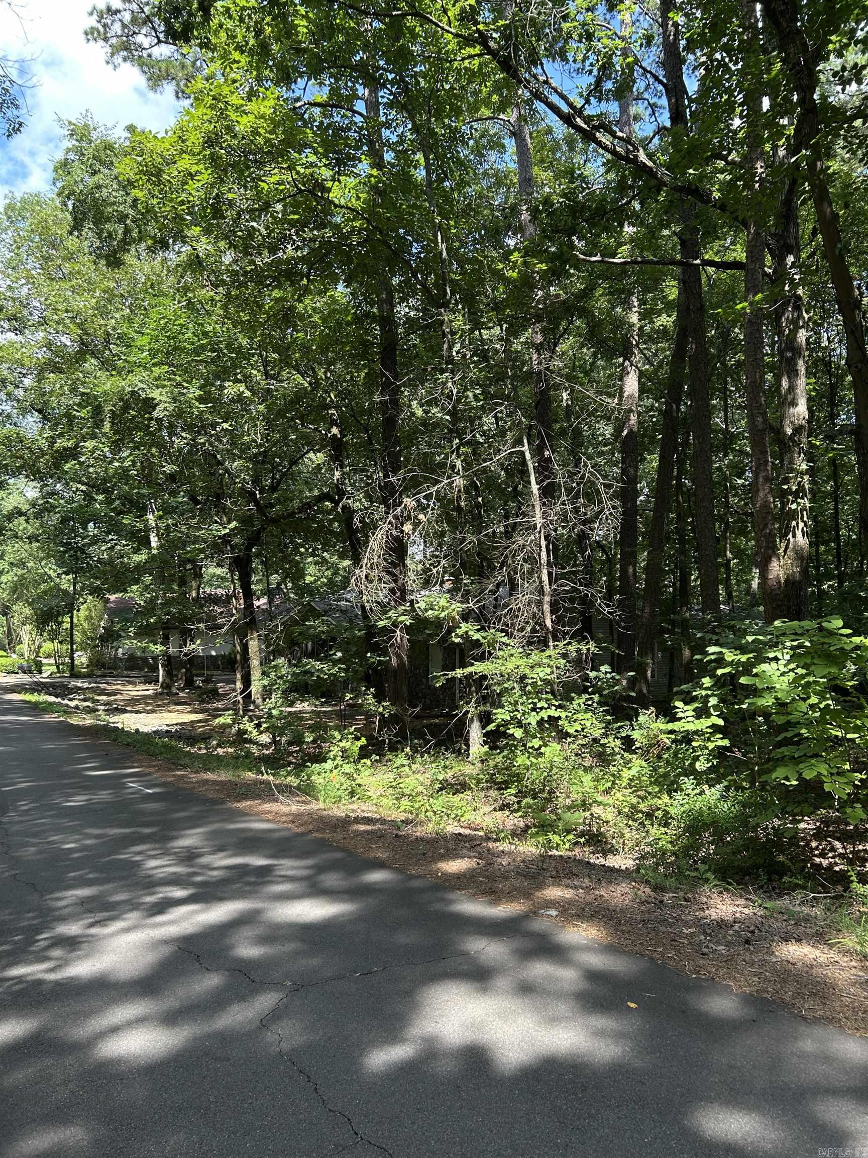 17 Ensenada  Hot Springs Village, AR