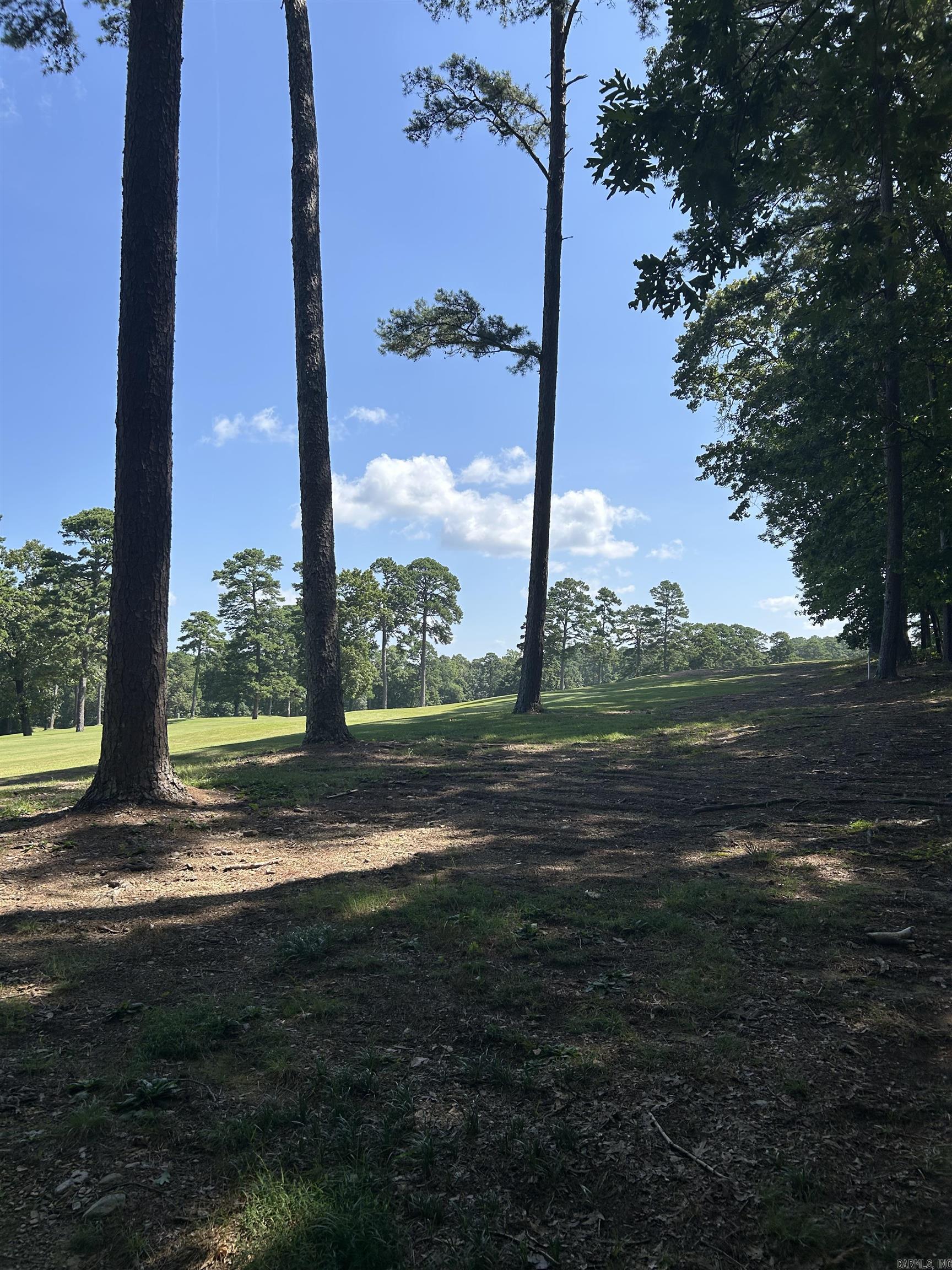 17 Ensenada  Hot Springs Village, AR