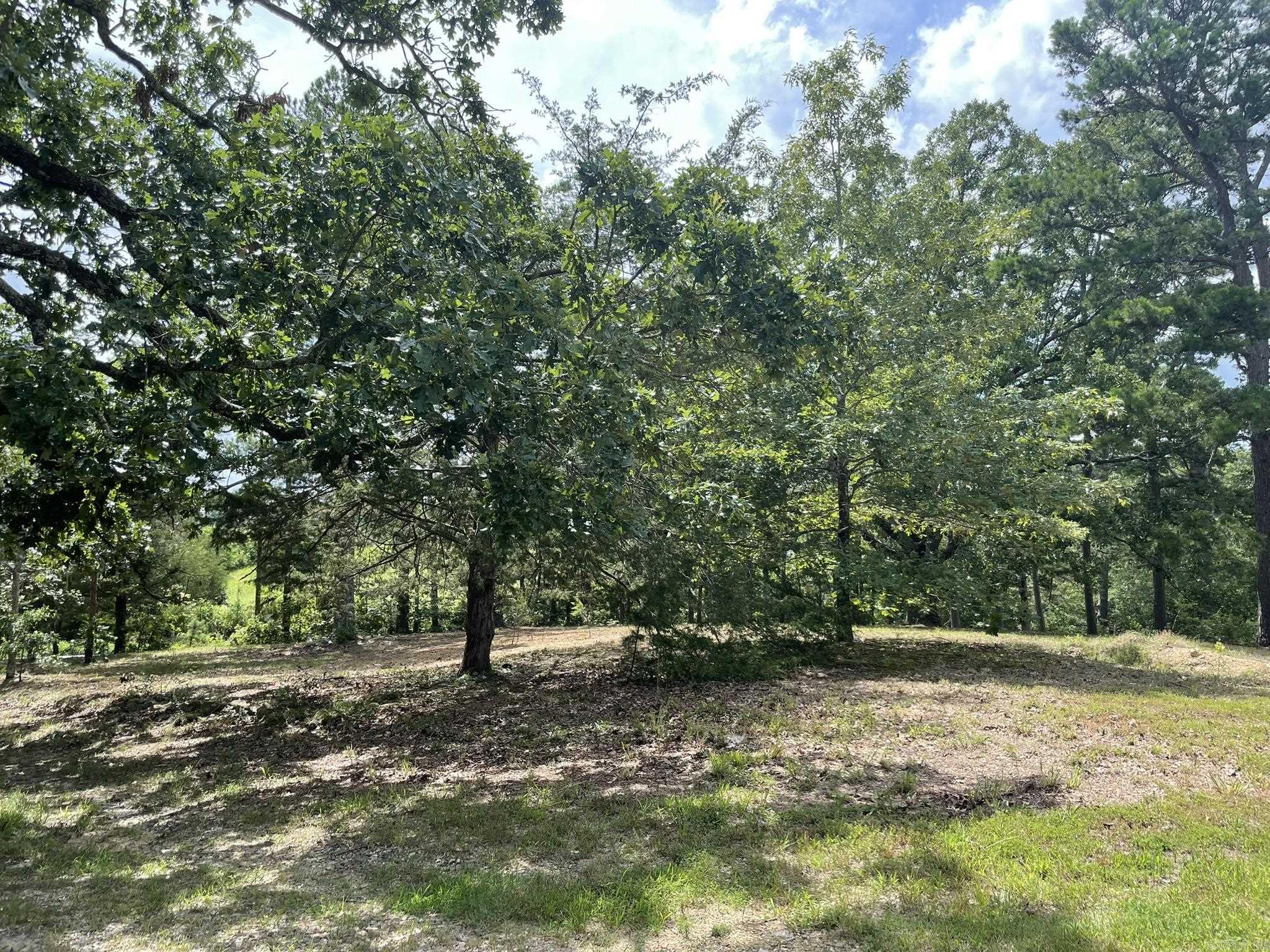 2923 Polk Road 44  Mena, AR