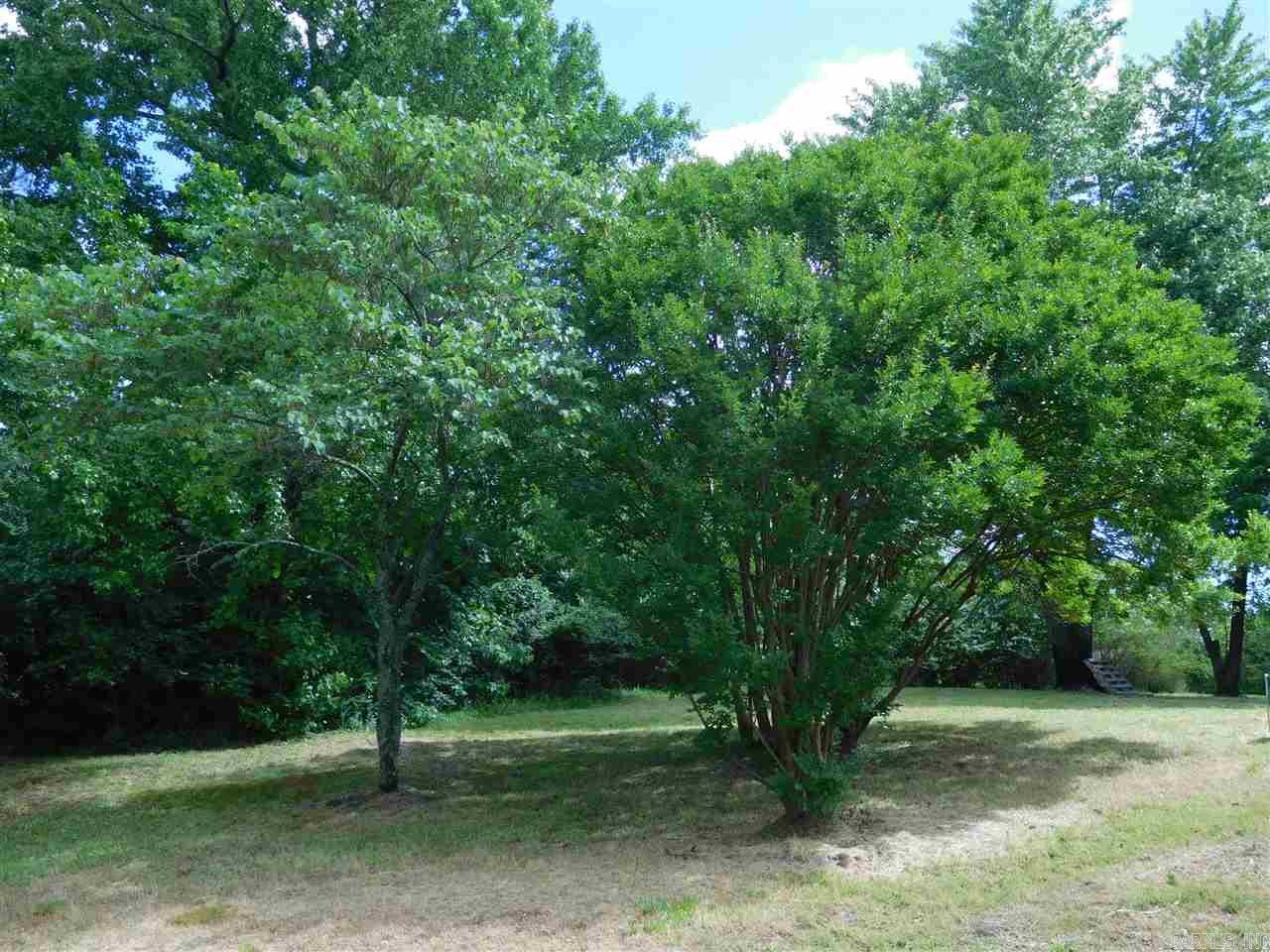 2923 Polk Road 44  Mena, AR