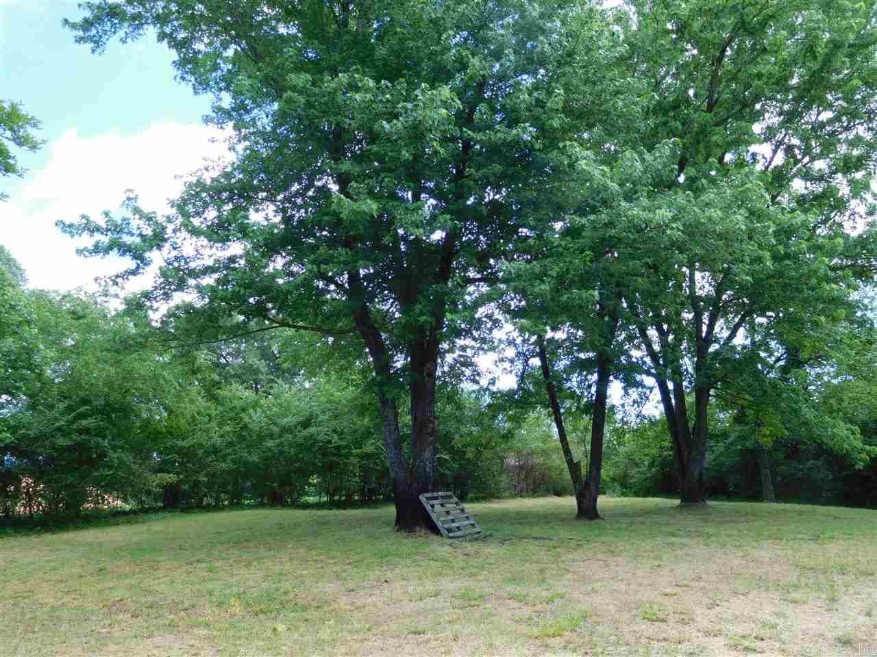 2923 Polk Road 44  Mena, AR