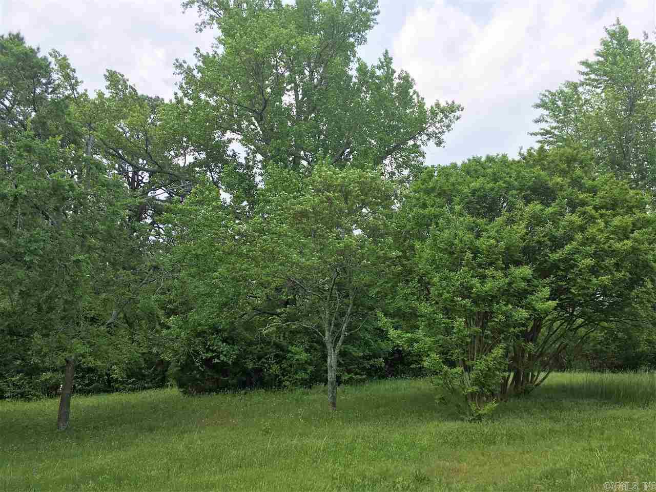2923 Polk Road 44  Mena, AR