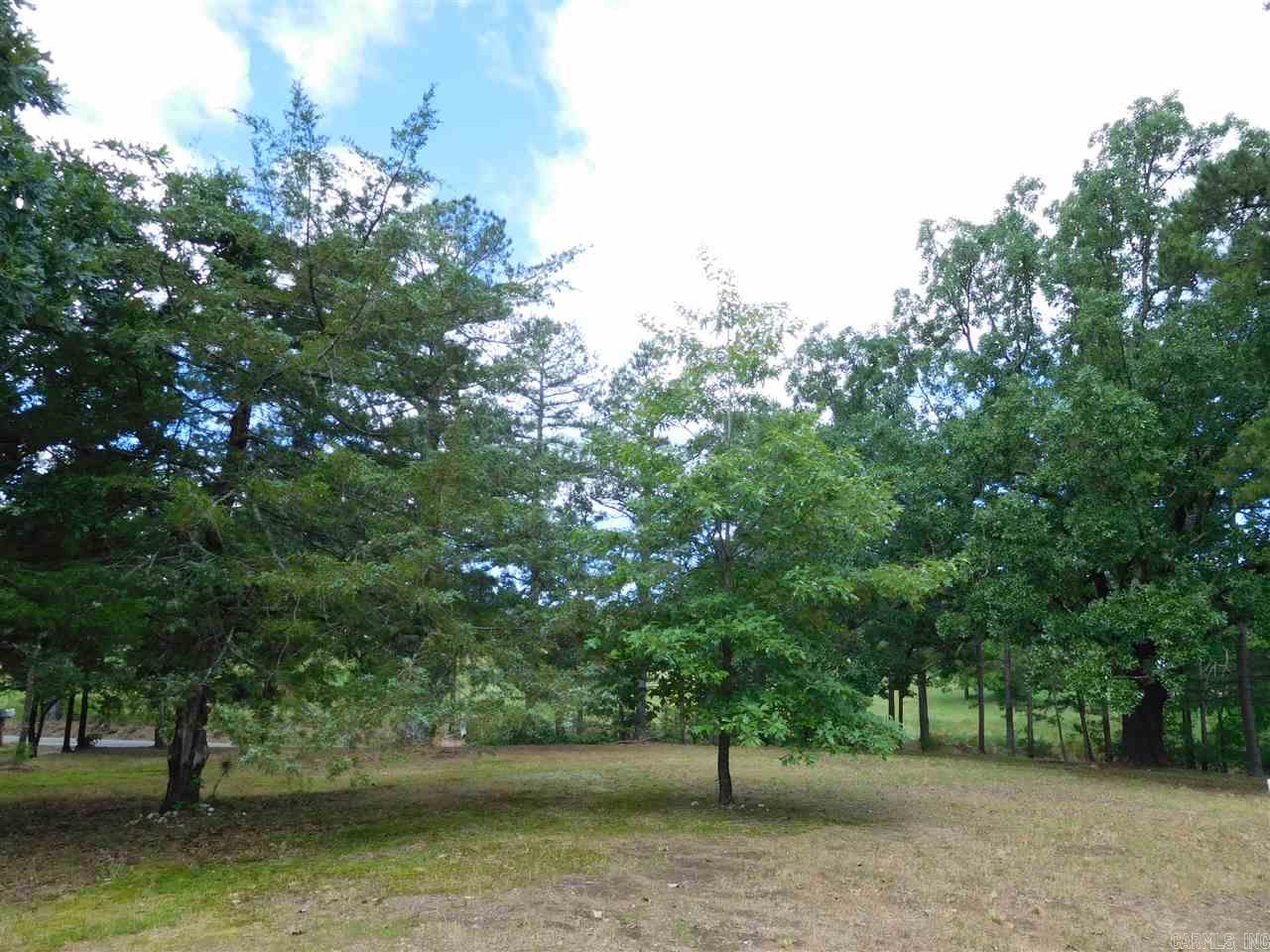 2923 Polk Road 44  Mena, AR