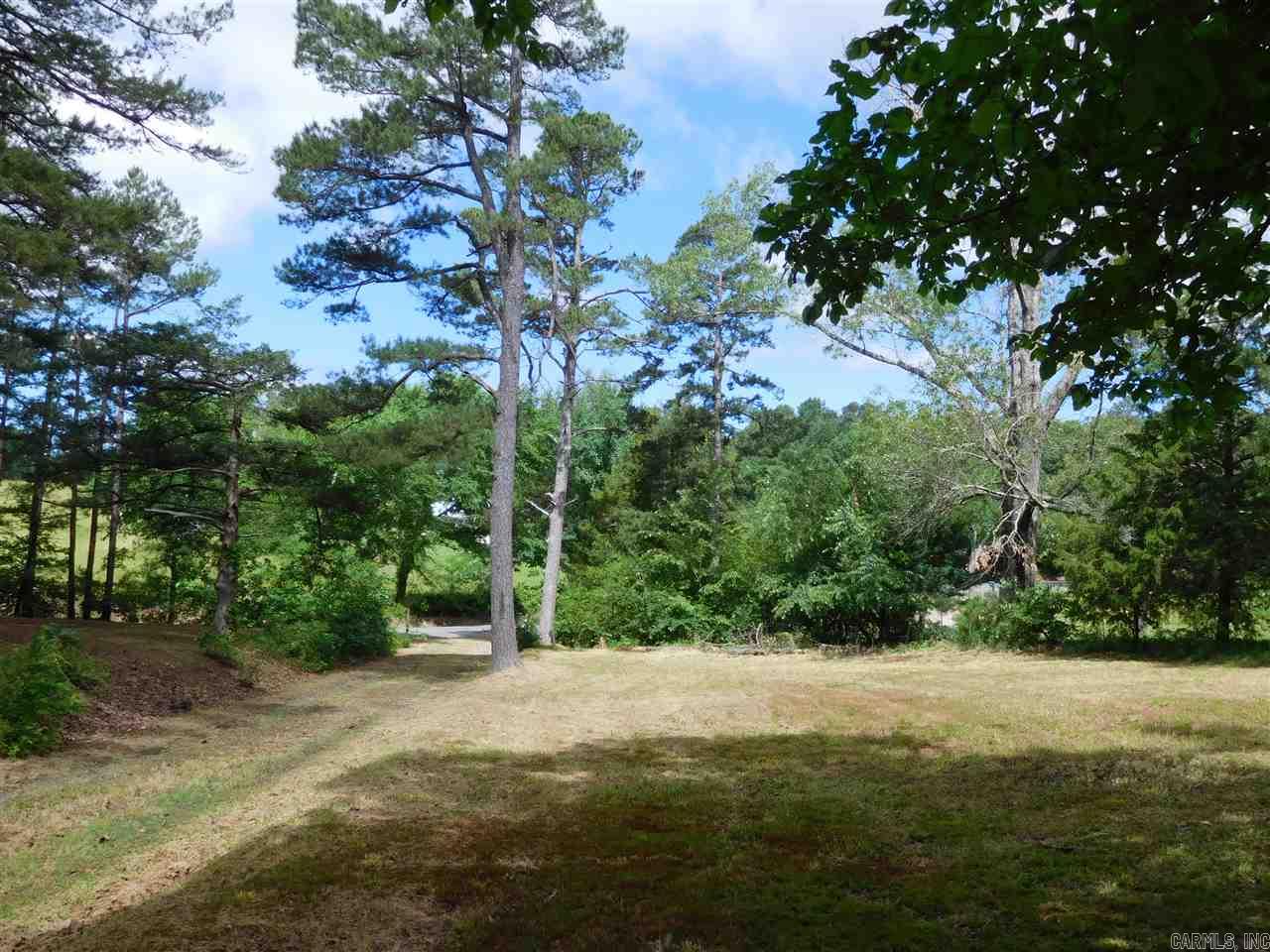 2923 Polk Road 44  Mena, AR