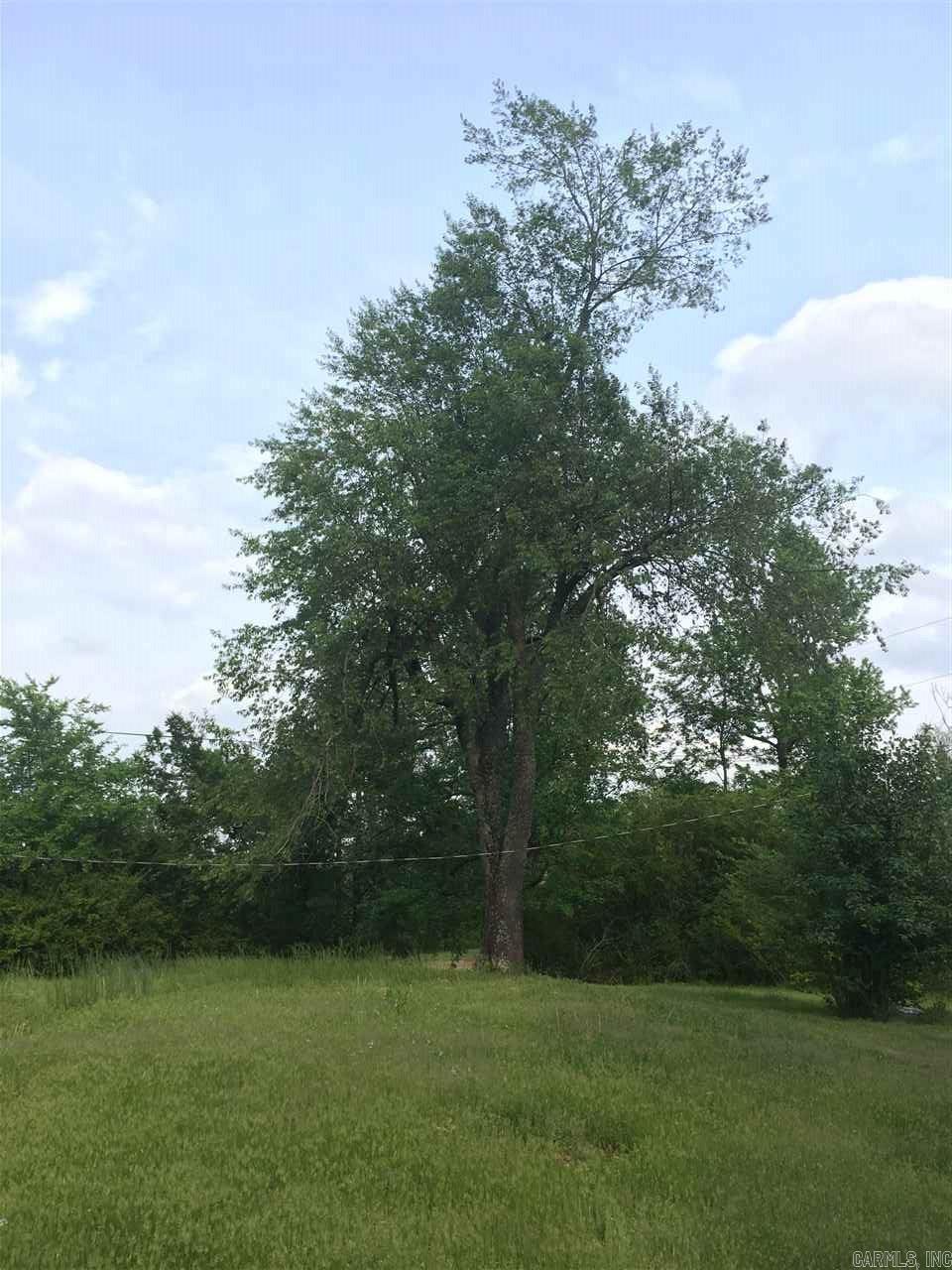 2923 Polk Road 44  Mena, AR