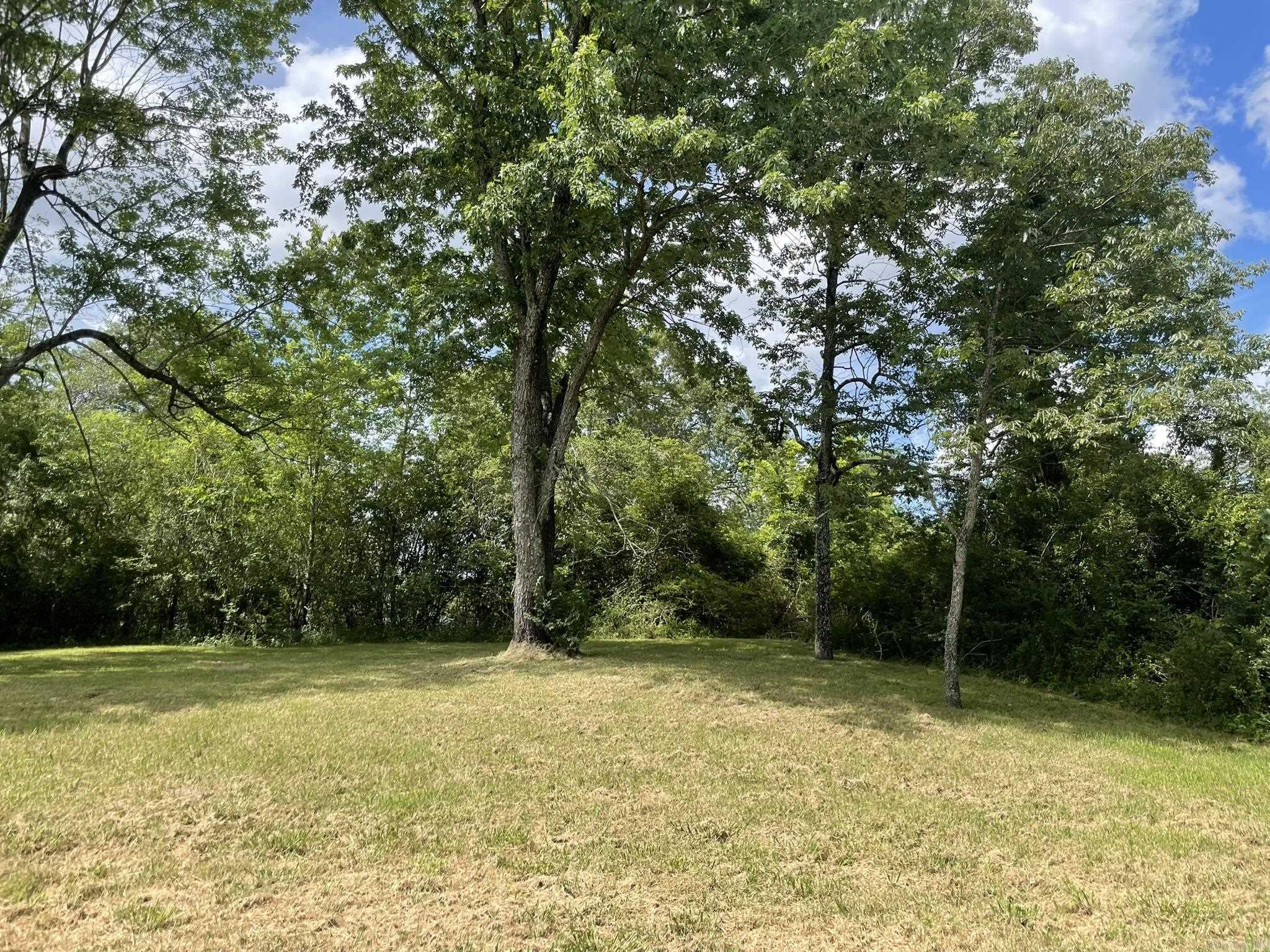 2923 Polk Road 44  Mena, AR