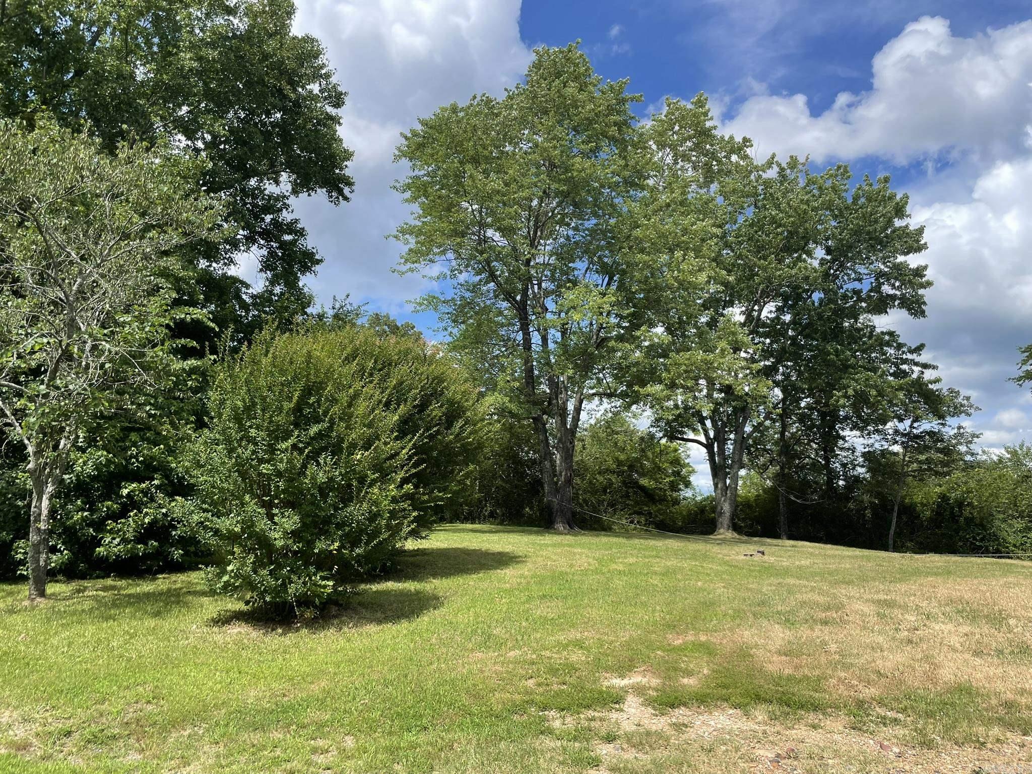 2923 Polk Road 44  Mena, AR