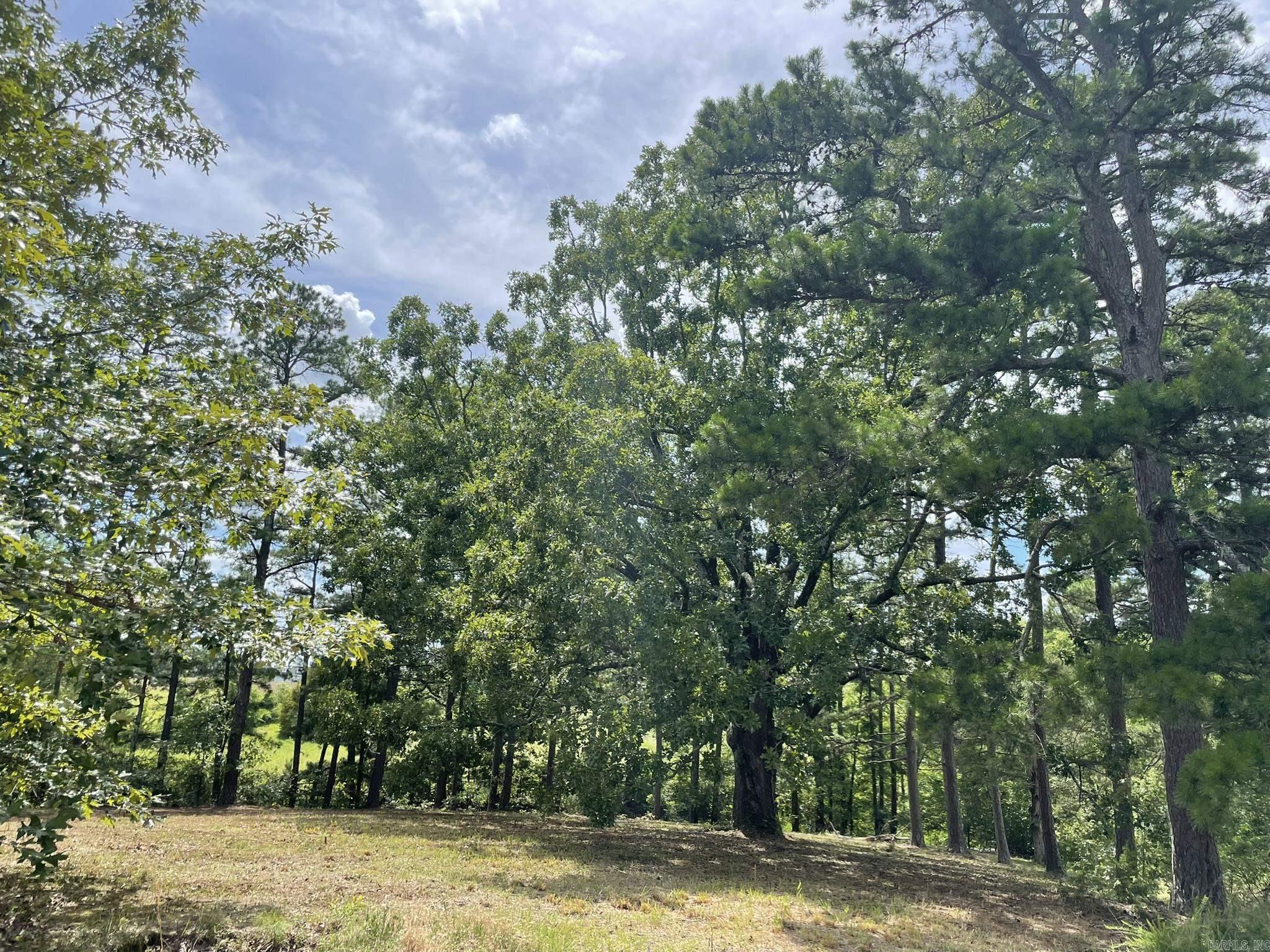 2923 Polk Road 44  Mena, AR