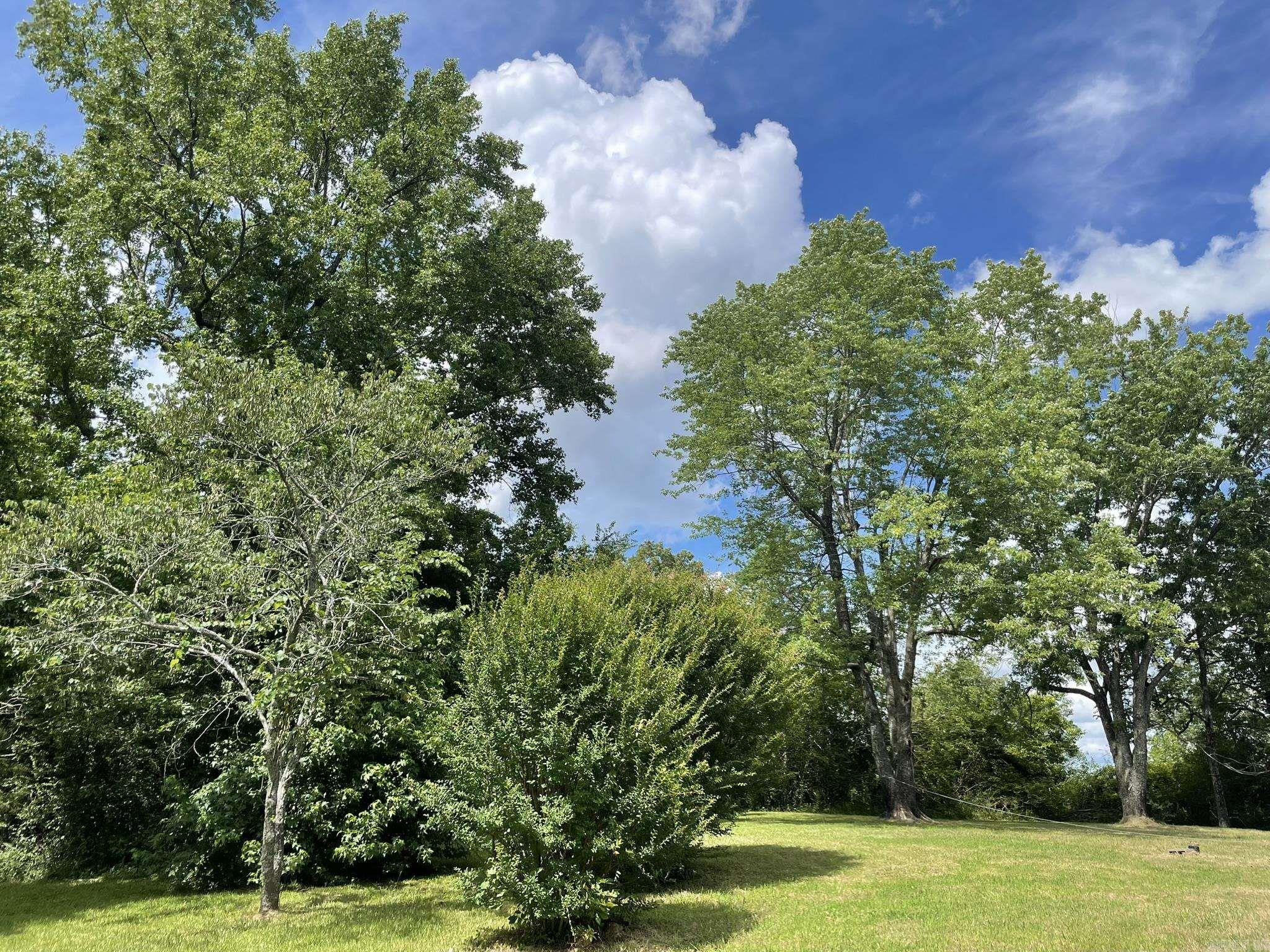 2923 Polk Road 44  Mena, AR
