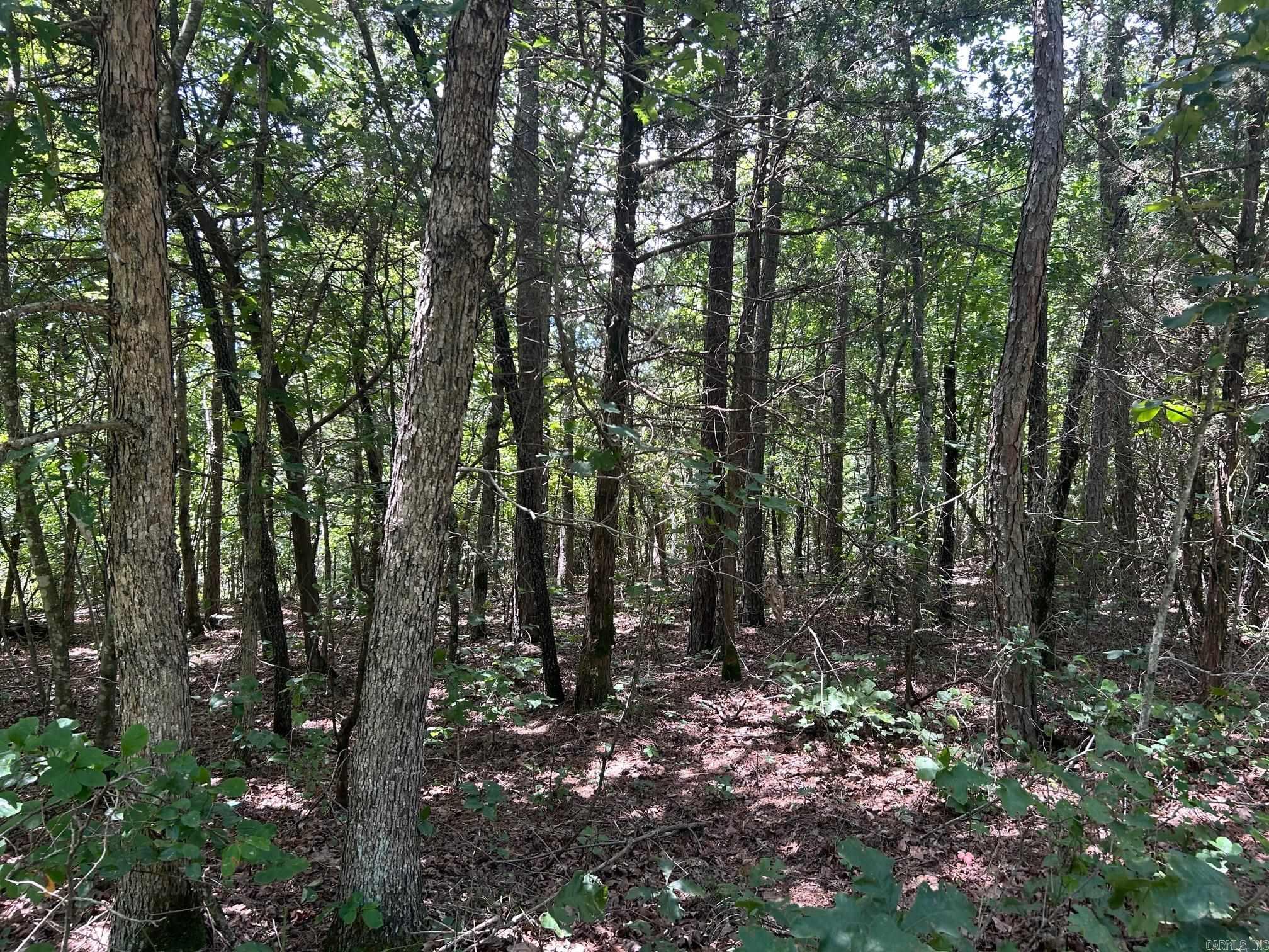  Sunnyland  Mountain View, AR
