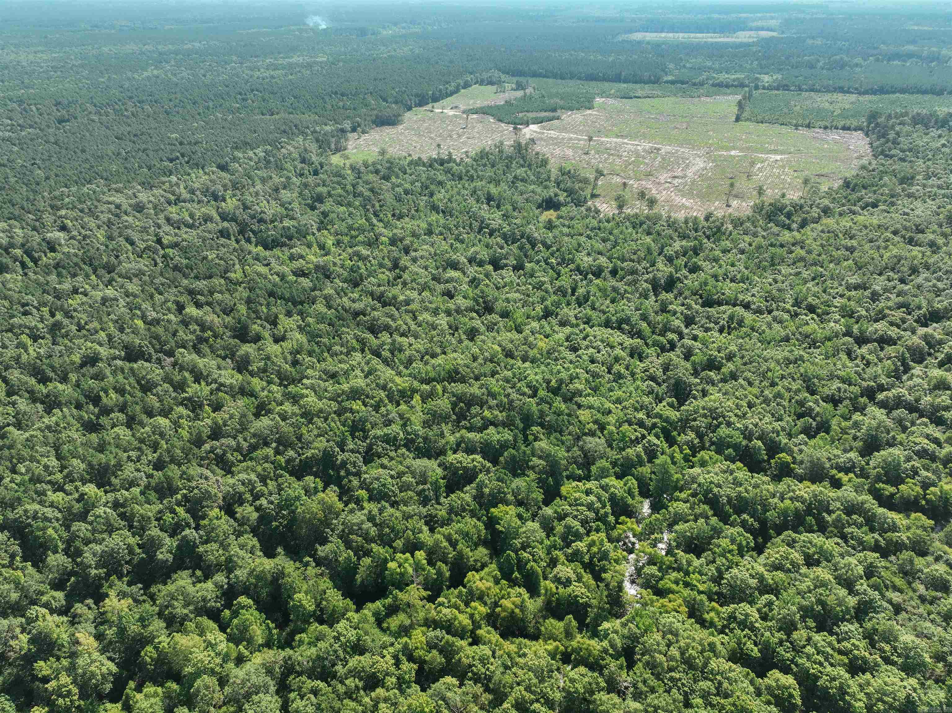 294 Dallas  Sparkman, AR