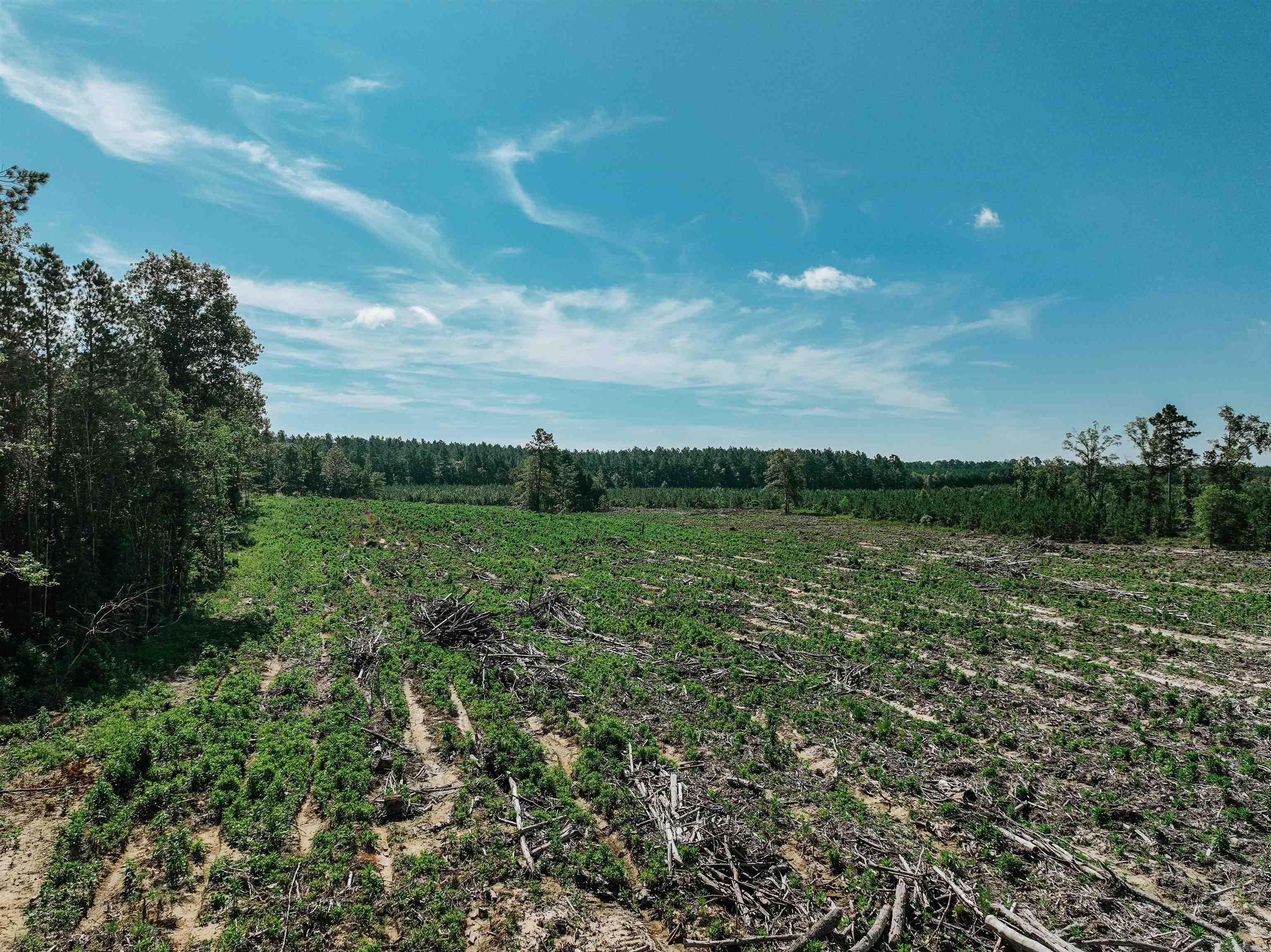 294 Dallas  Sparkman, AR