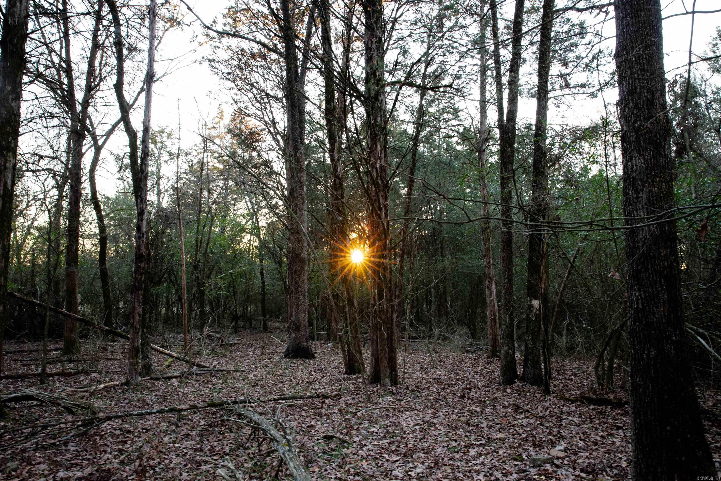 451 Glenwood Trail Lamar, AR 72846