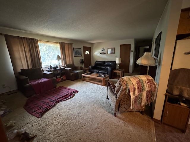 203 E Green Valley Drive  Horseshoe Bend, AR