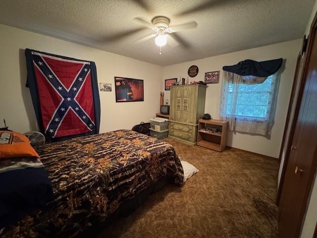 203 E Green Valley Drive  Horseshoe Bend, AR