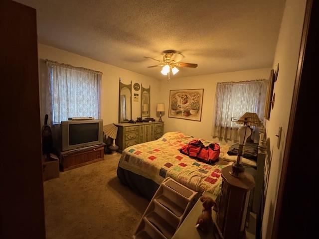 203 E Green Valley Drive  Horseshoe Bend, AR