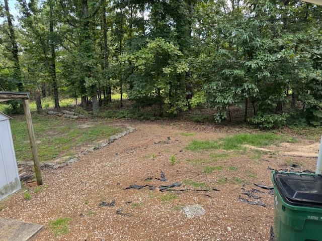 203 E Green Valley Drive  Horseshoe Bend, AR