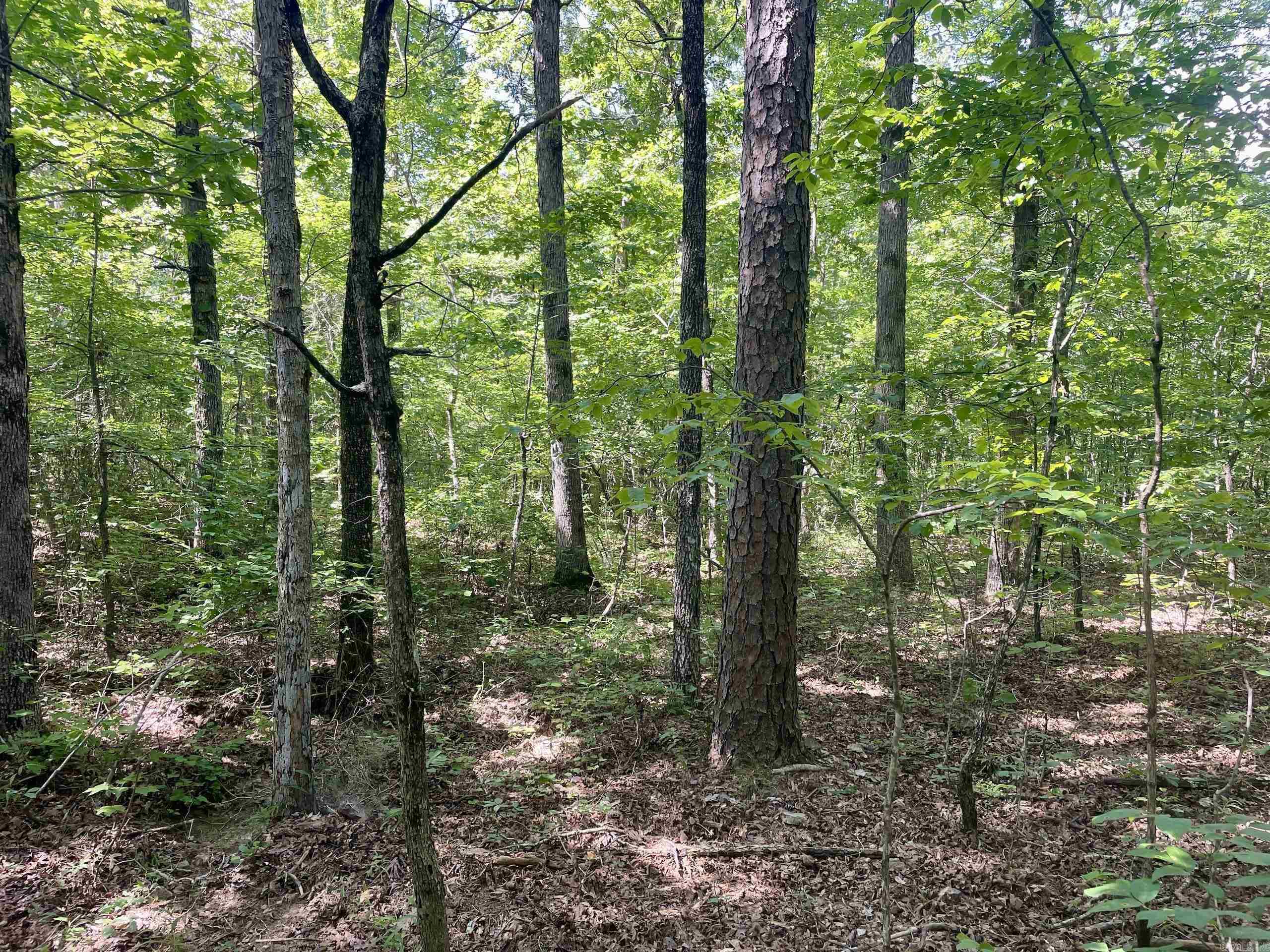 000 Old Brewer Road North  Edgemont, AR