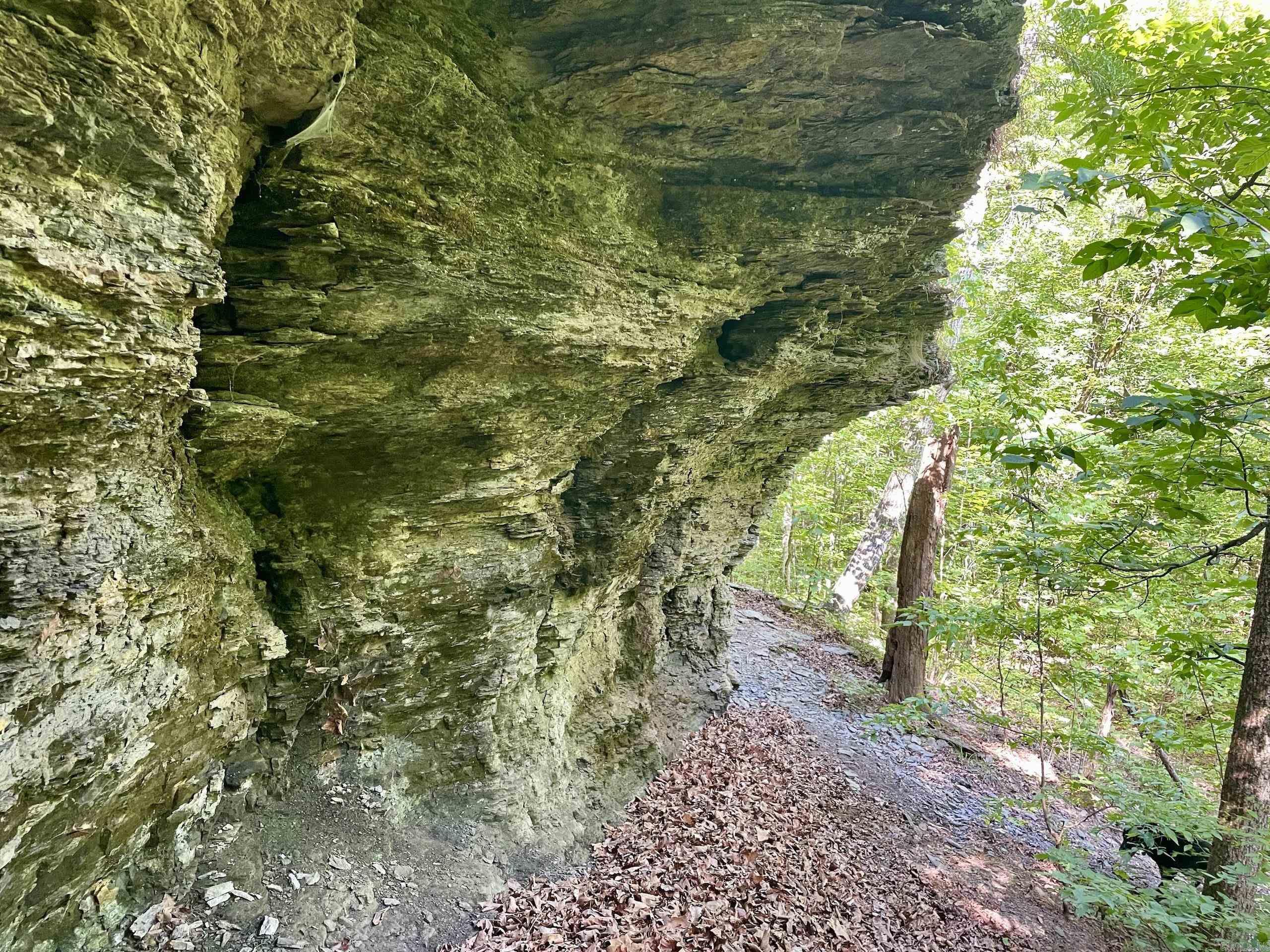 000 Old Brewer Road North  Edgemont, AR
