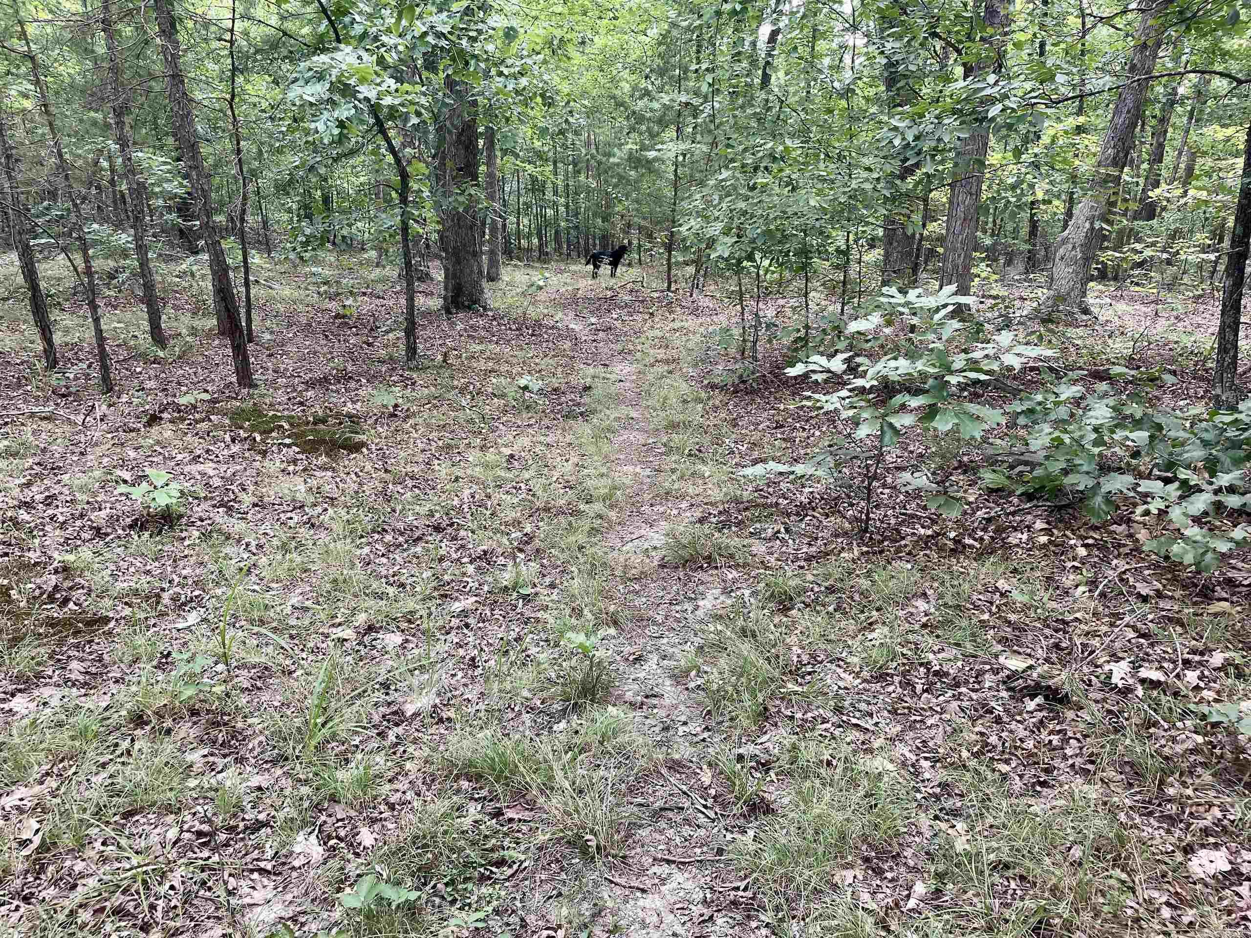 000 Old Brewer Road North  Edgemont, AR