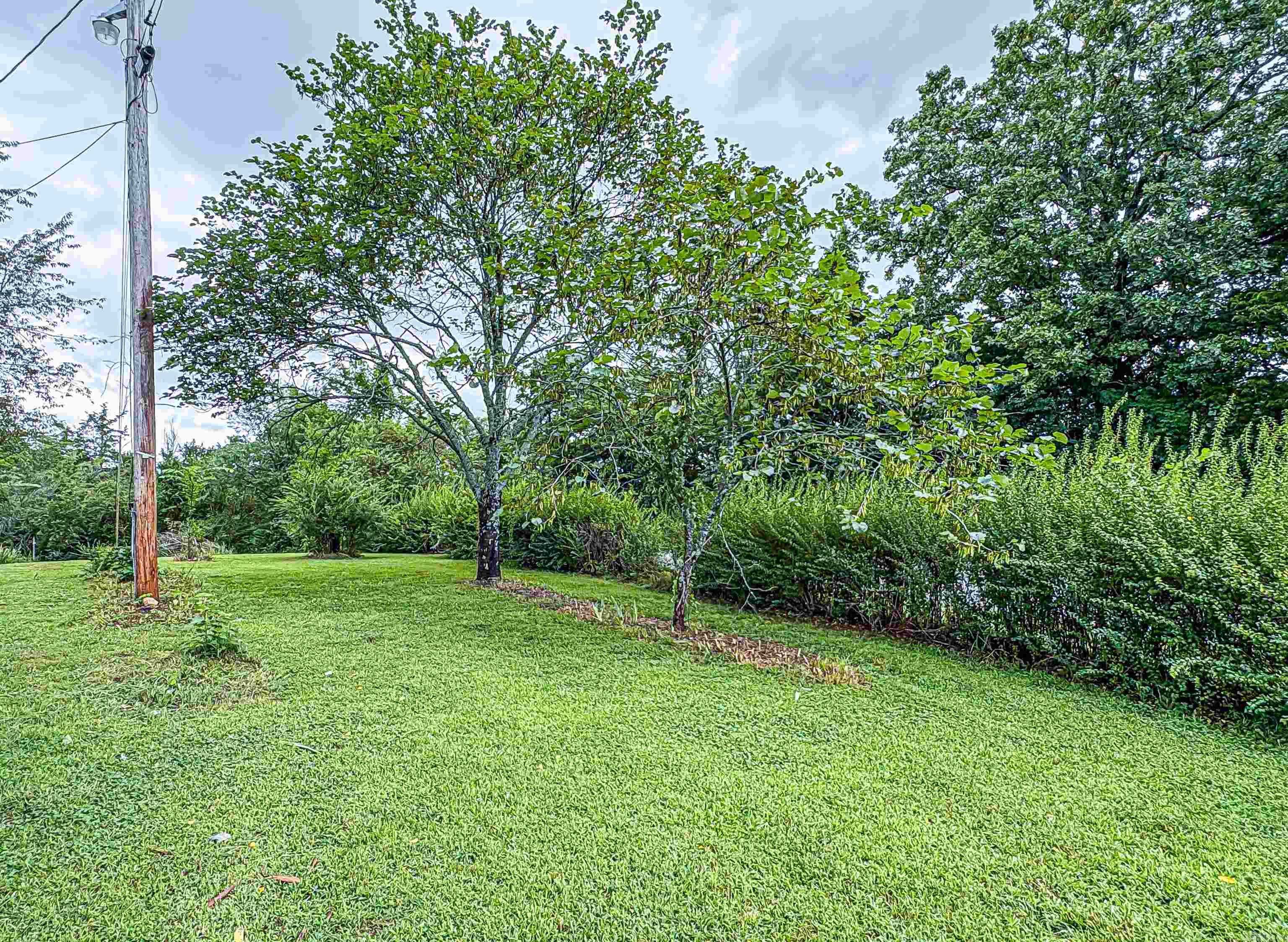 24 Cherry Street Yellville, AR 72687