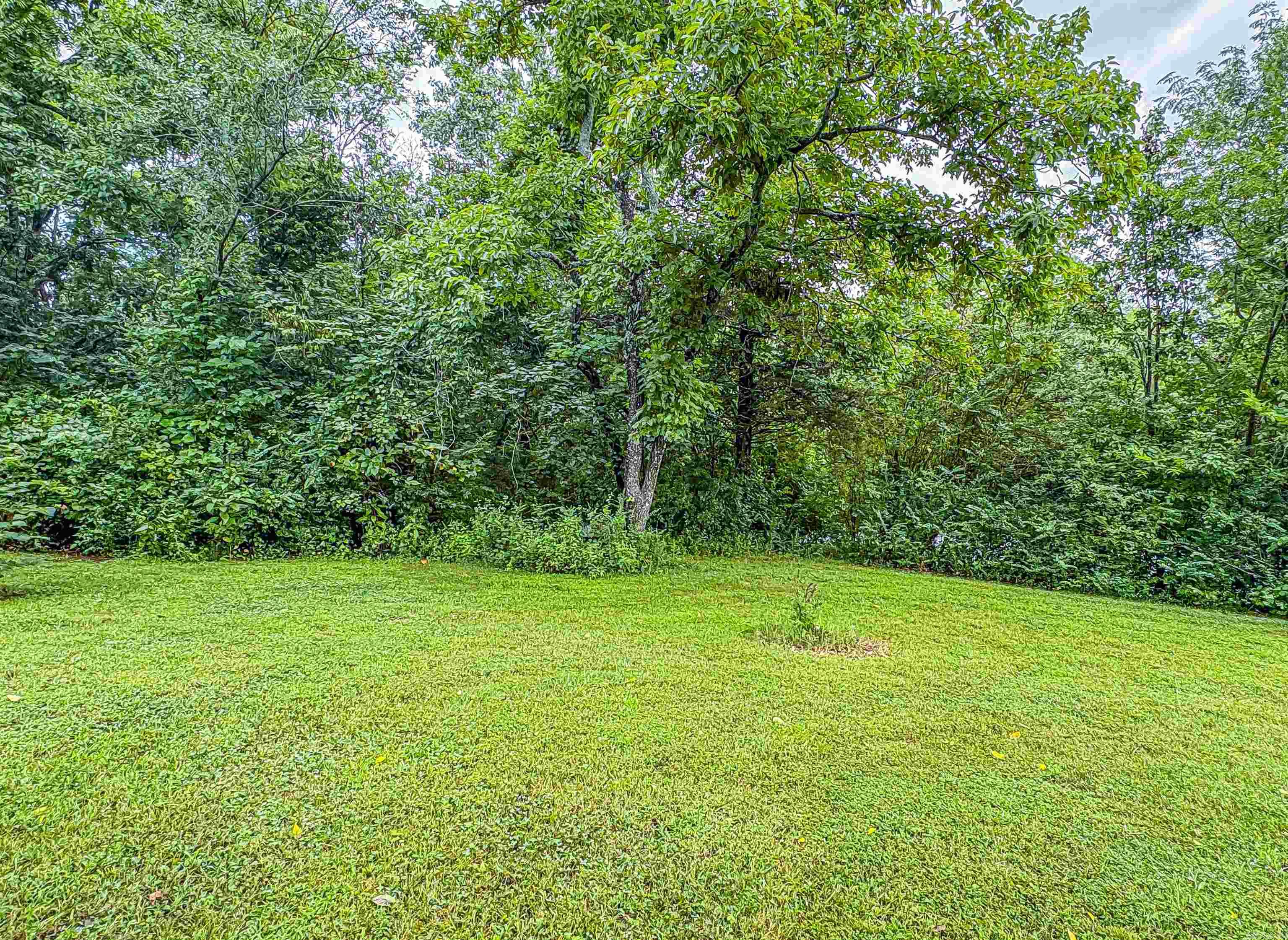 24 Cherry Street Yellville, AR 72687