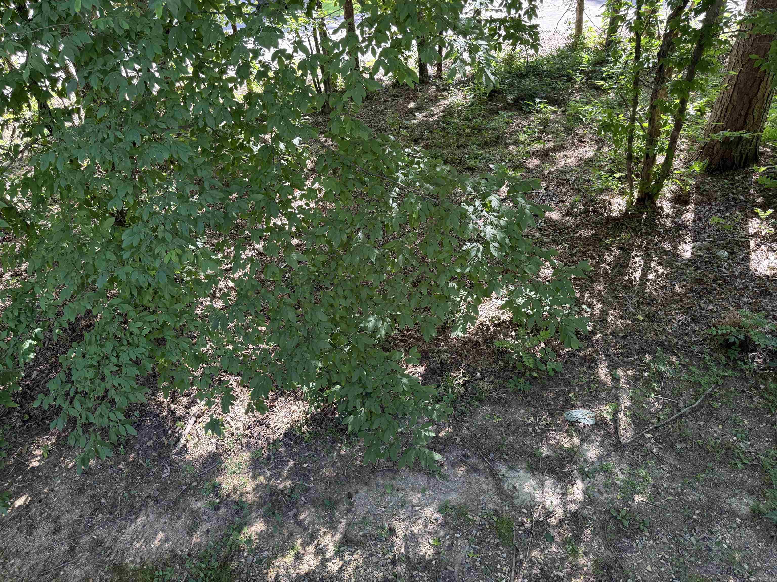 8 Cortez  Hot Springs Village, AR