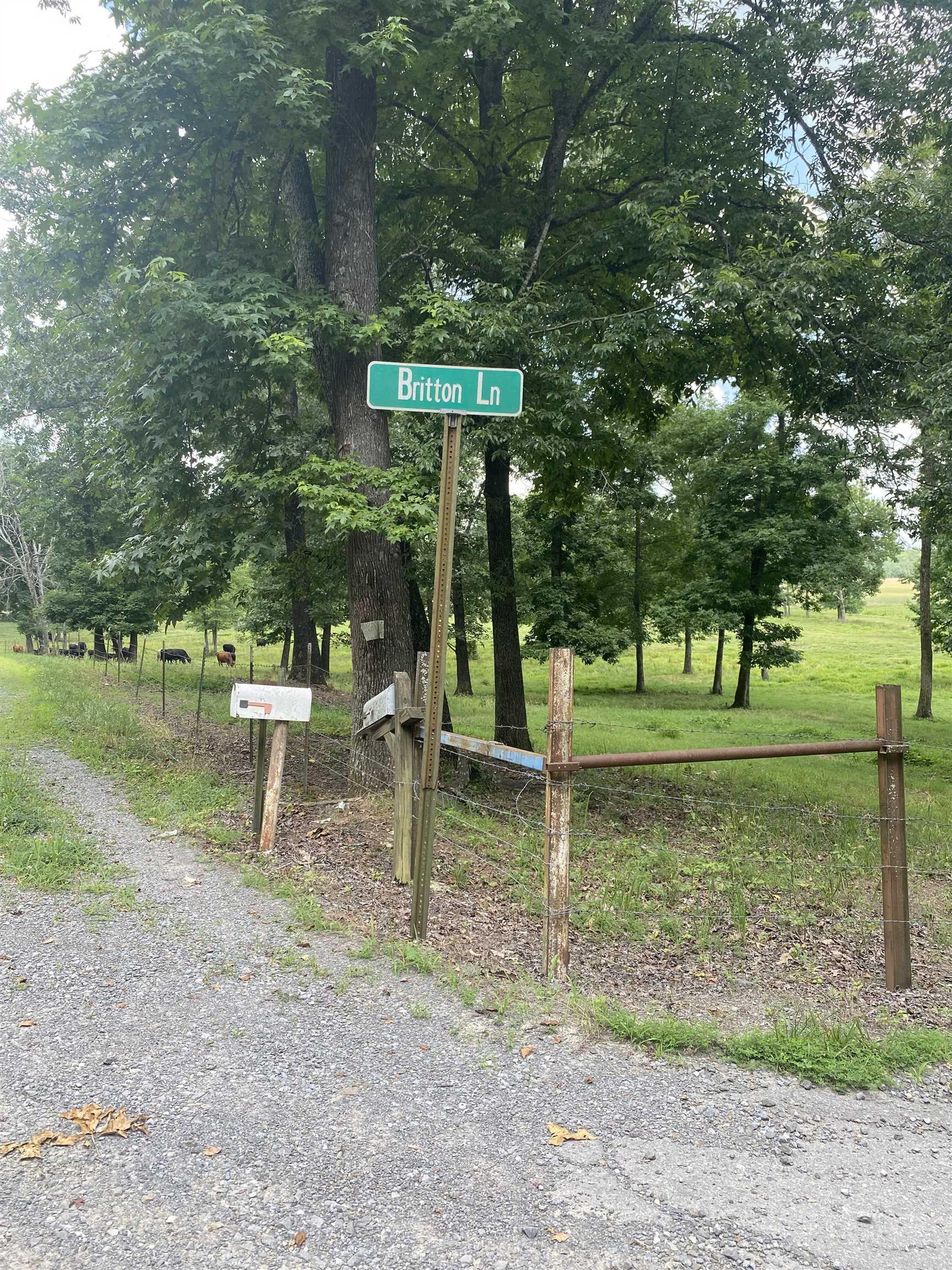 125 Britton  Pangburn, AR