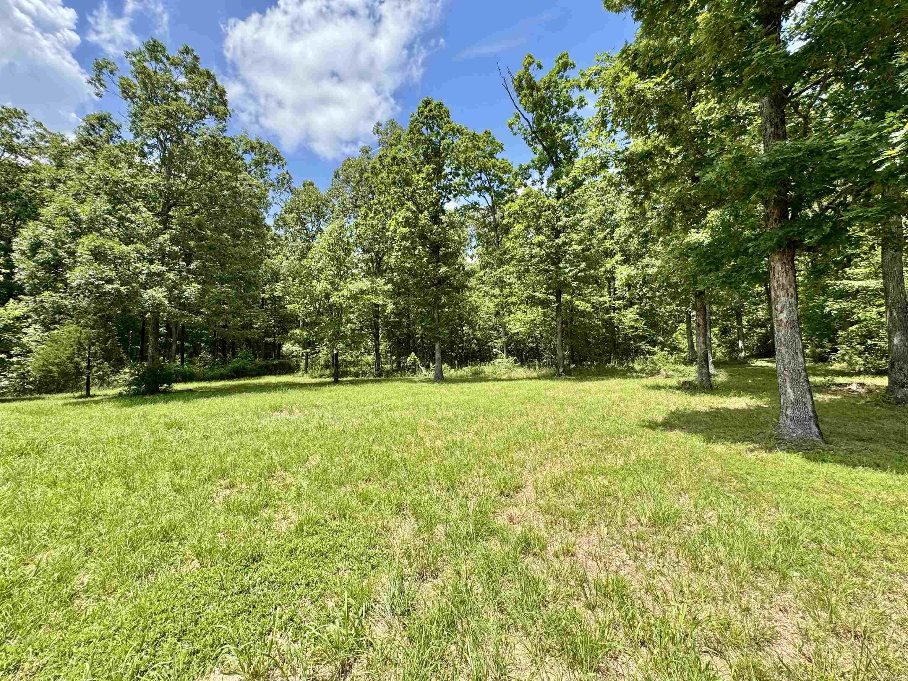 680 Petters Rd.  Mountain View, AR
