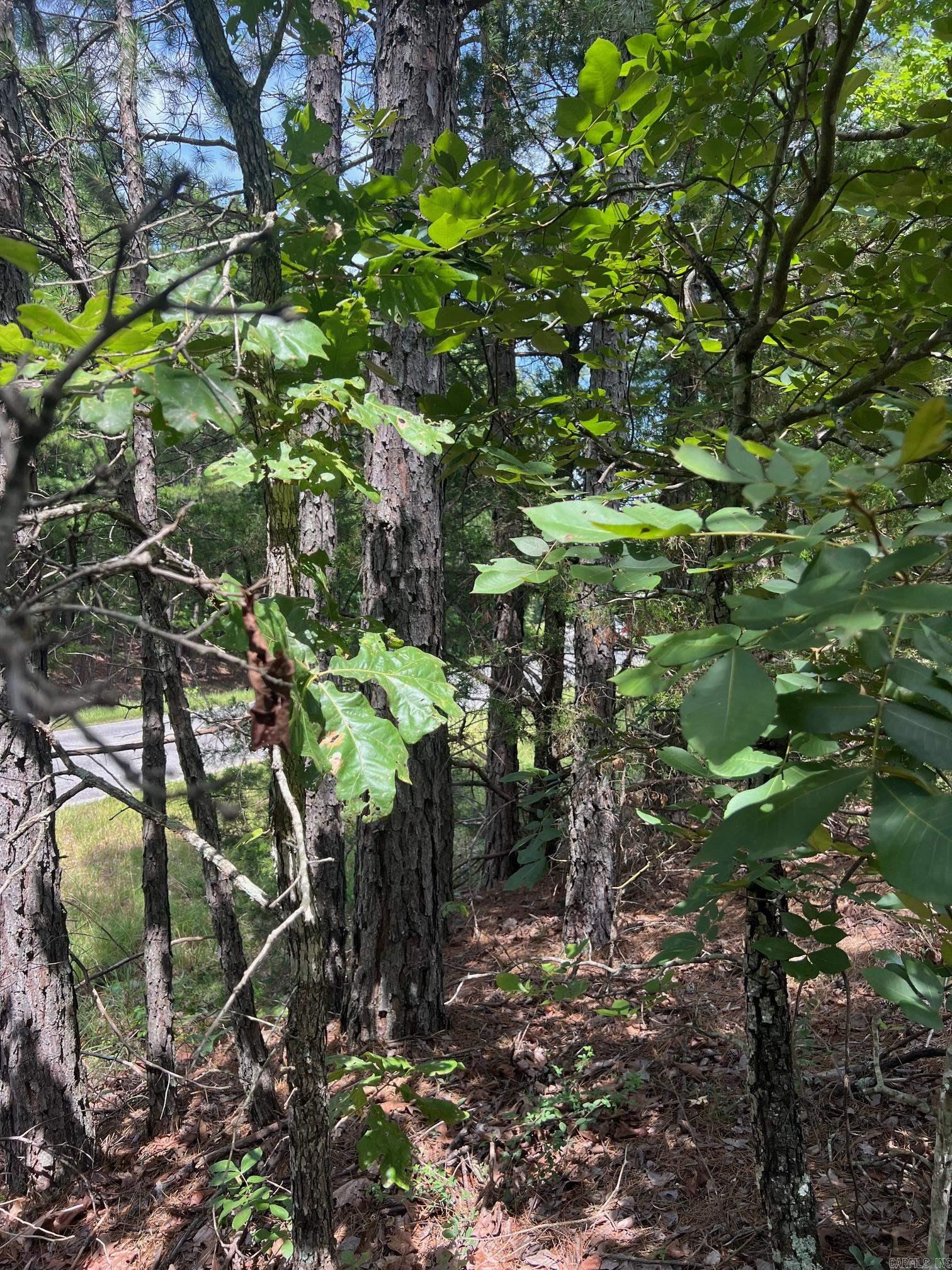 000 Burnt Ridge  Shirley, AR