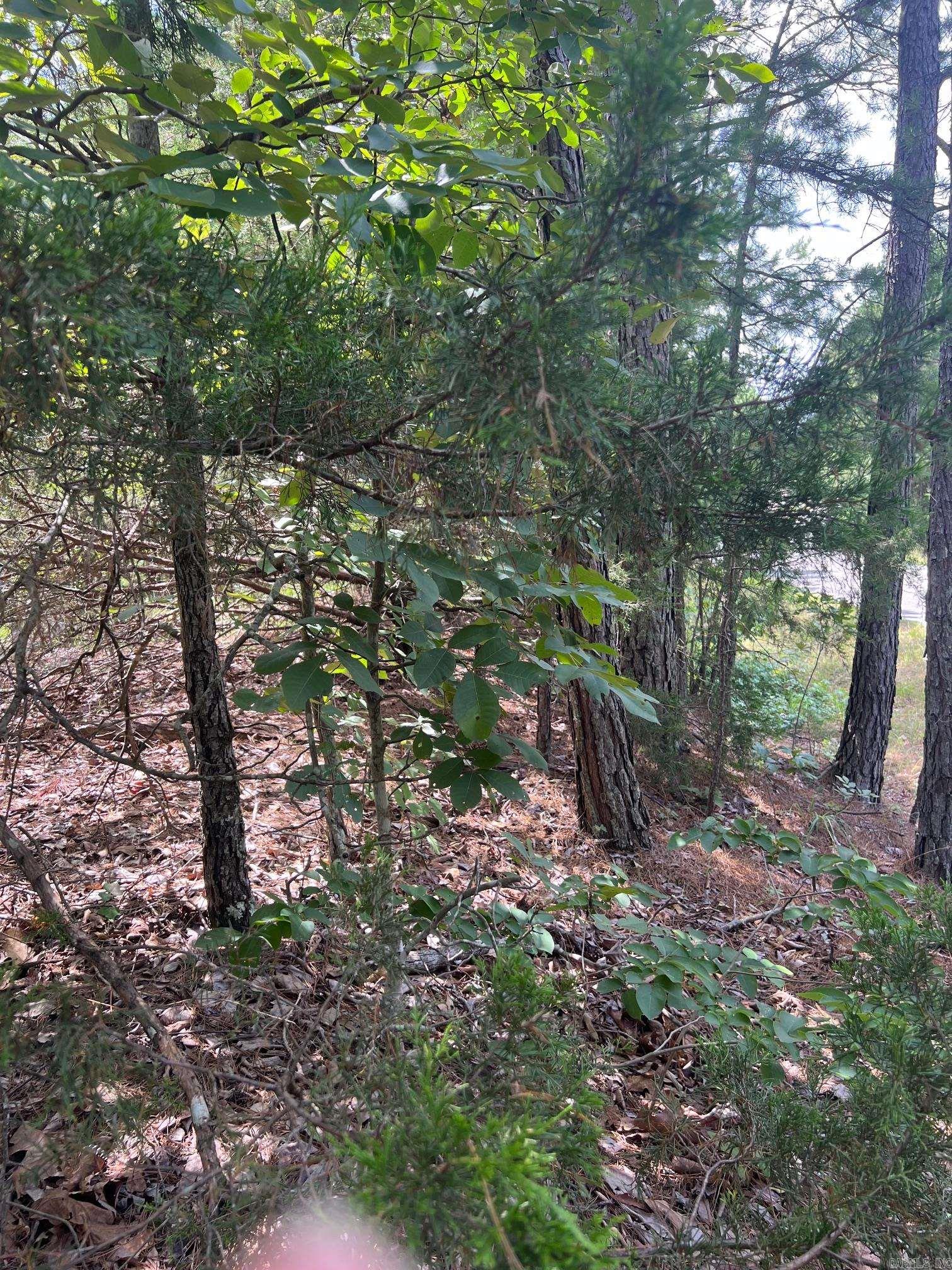 000 Burnt Ridge  Shirley, AR