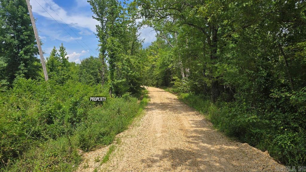 155 Ellison  Rison, AR