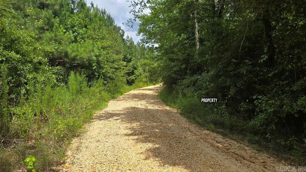 155 Ellison  Rison, AR