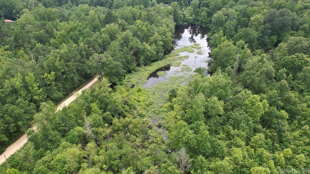 155 Ellison  Rison, AR