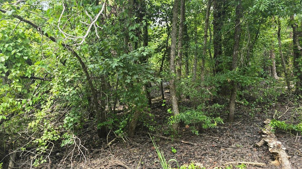 155 Ellison  Rison, AR