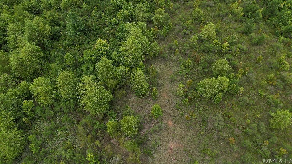 155 Ellison  Rison, AR