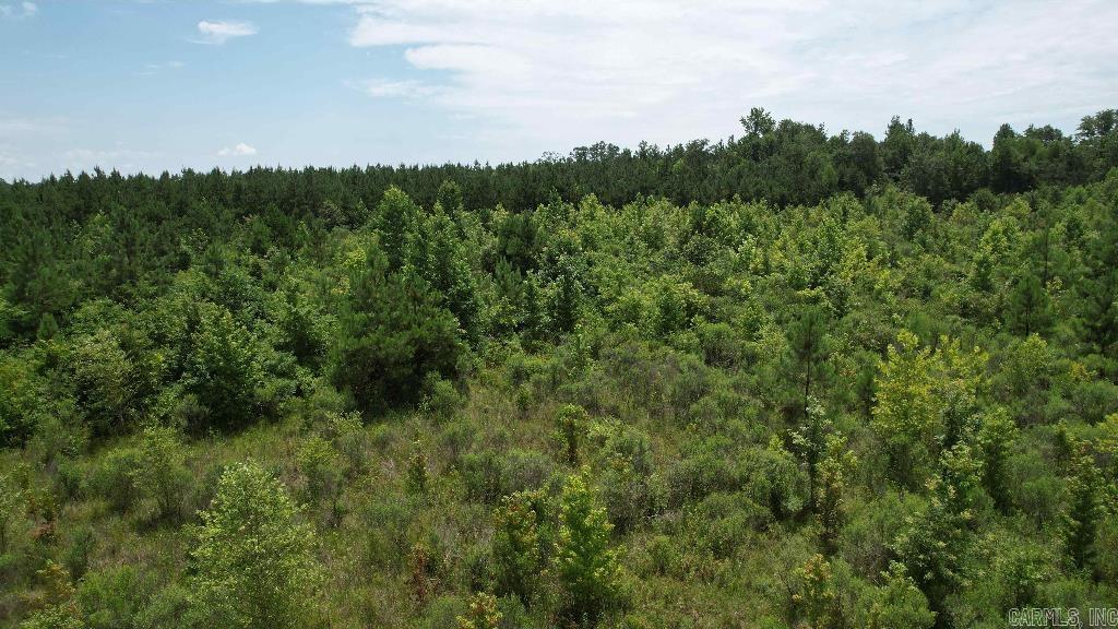 155 Ellison  Rison, AR