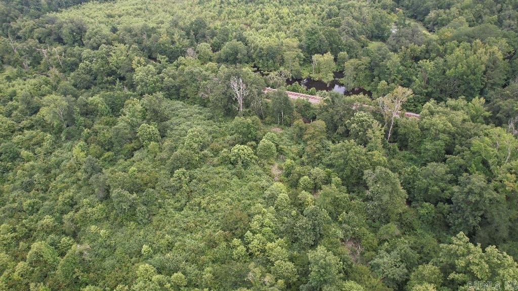 155 Ellison  Rison, AR