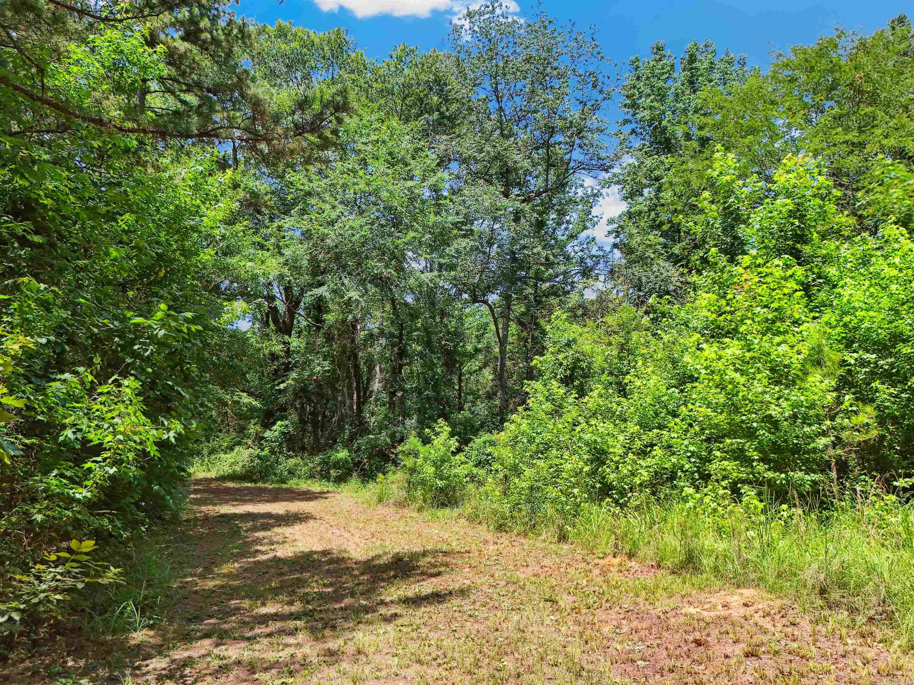 619 Hwy 155 N  Casa, AR