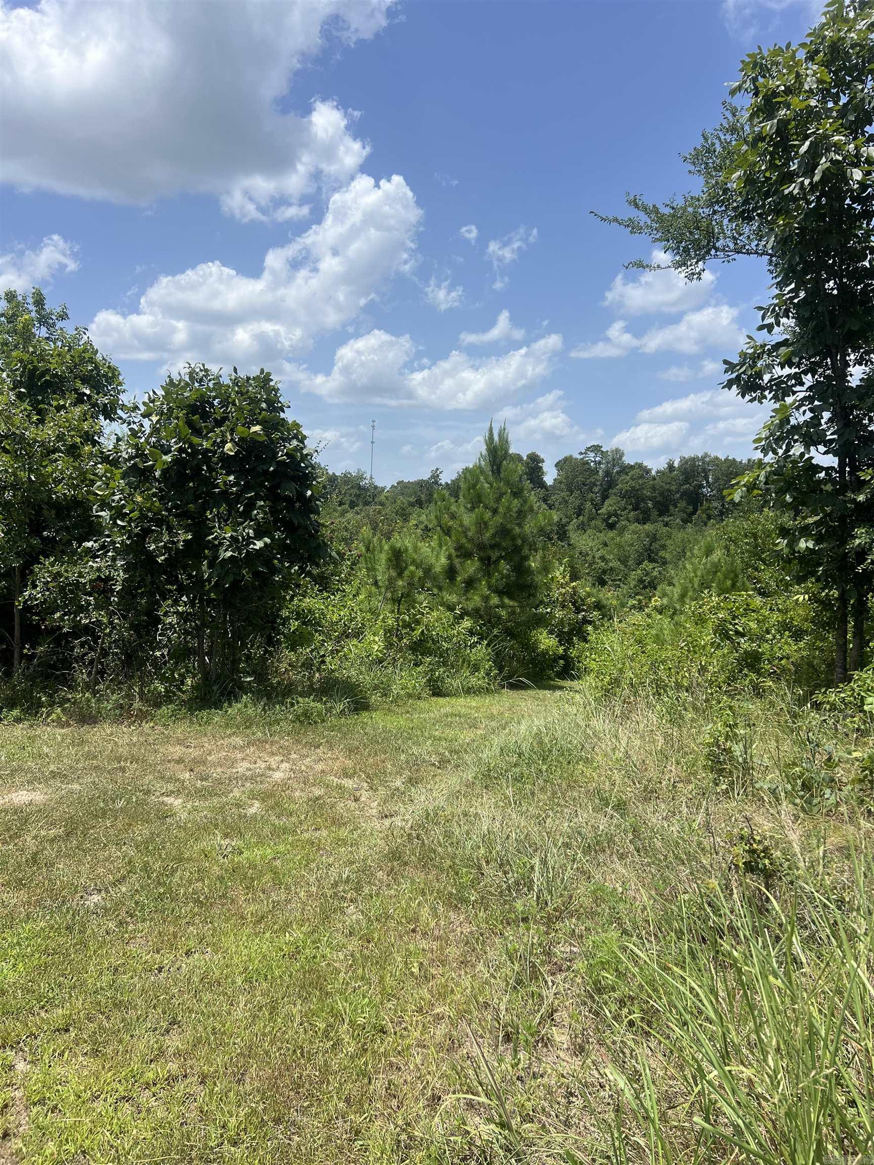 352 King  Gillham, AR