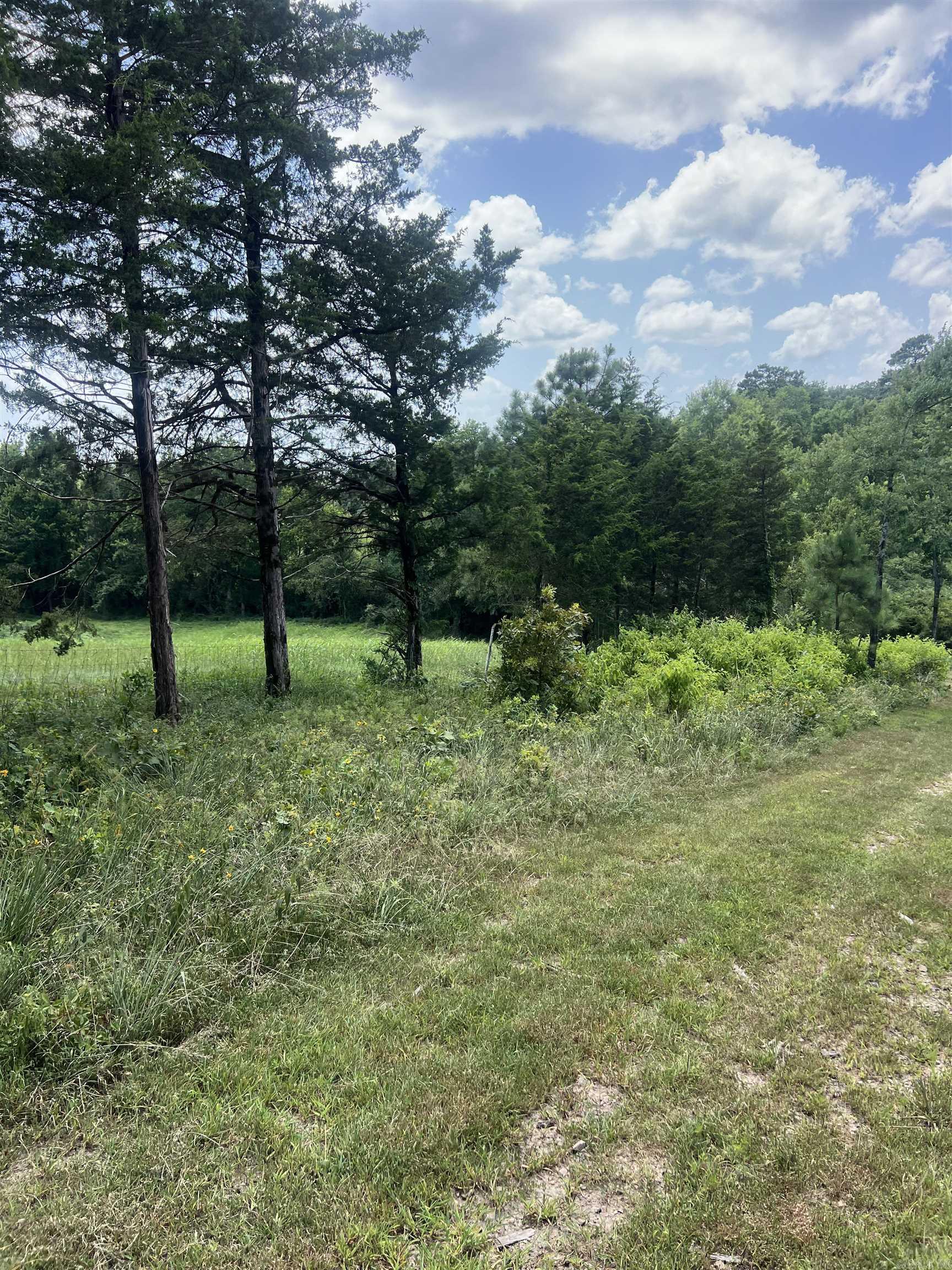 352 King  Gillham, AR
