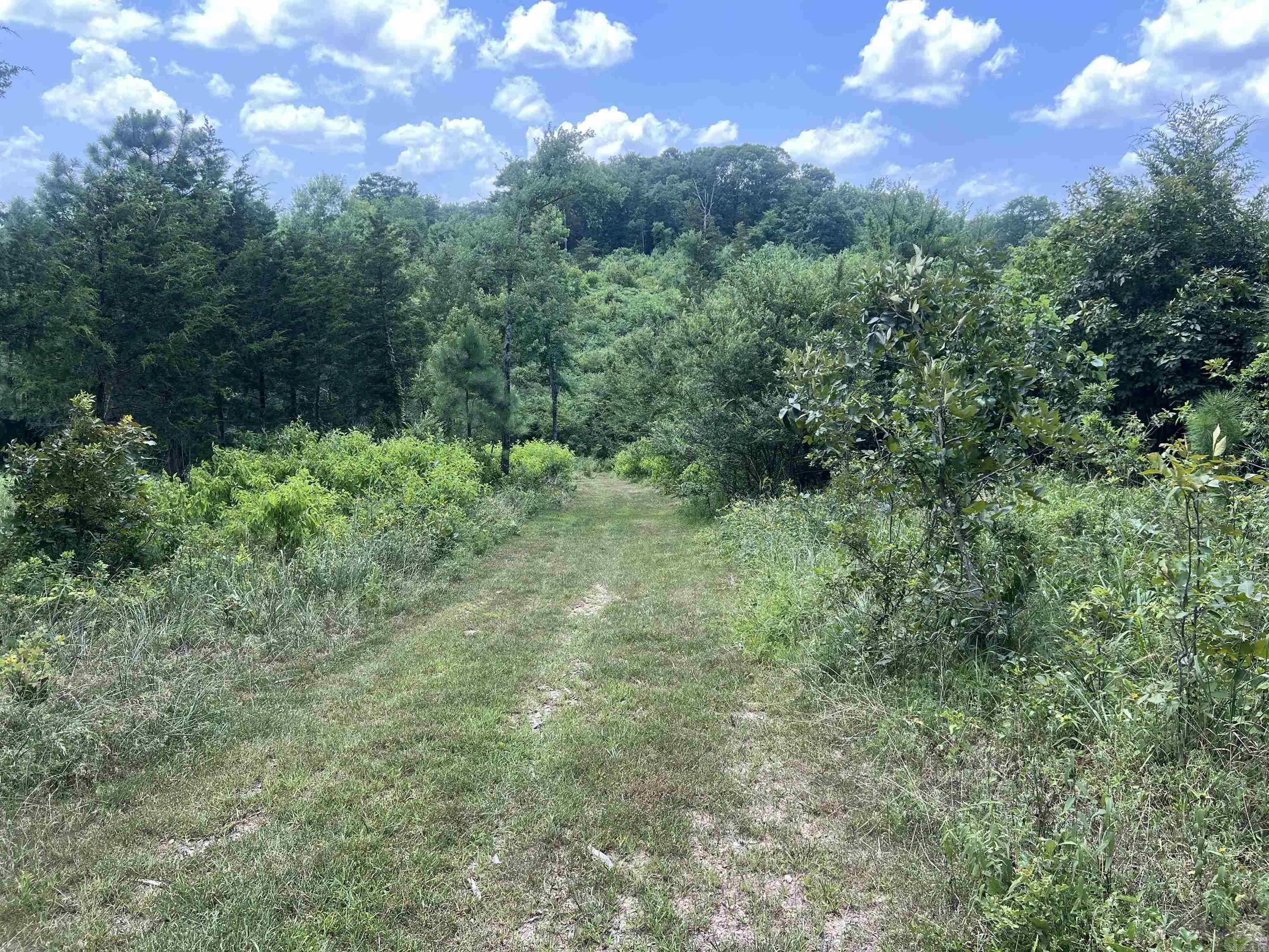 352 King  Gillham, AR