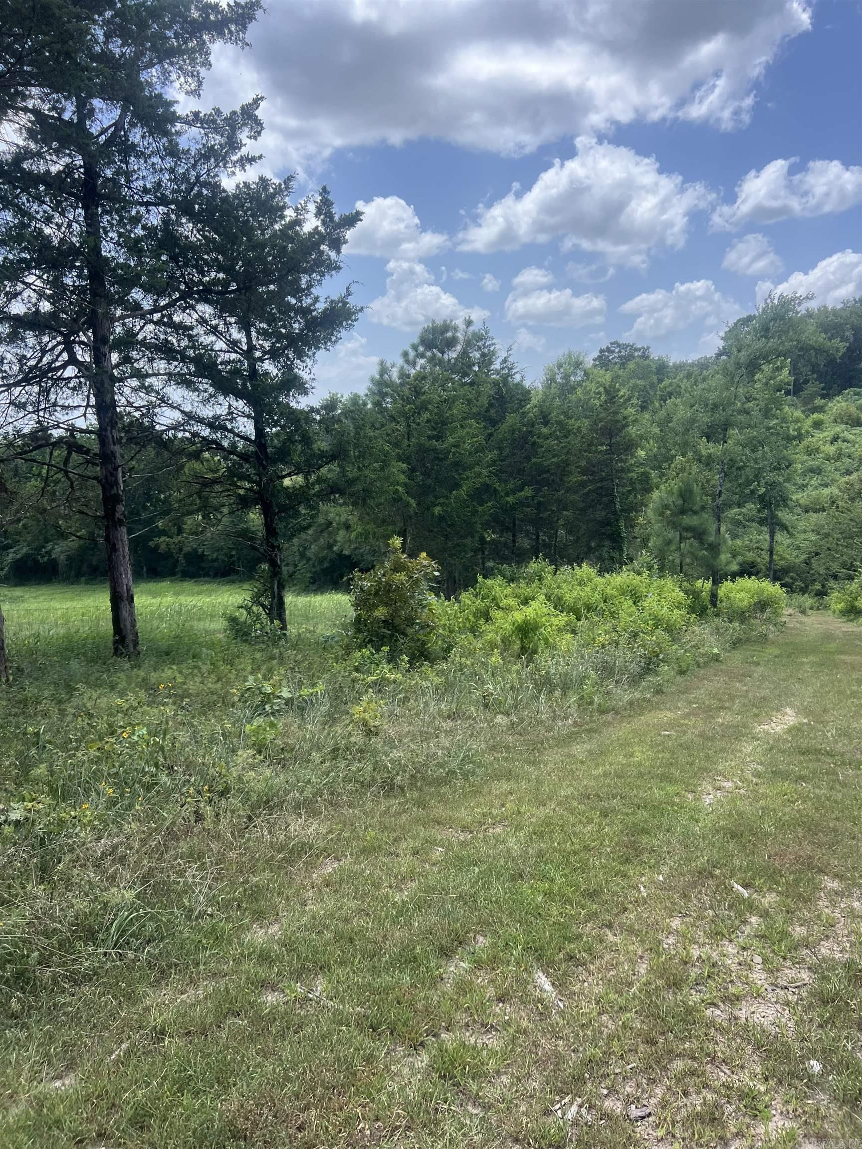 352 King  Gillham, AR