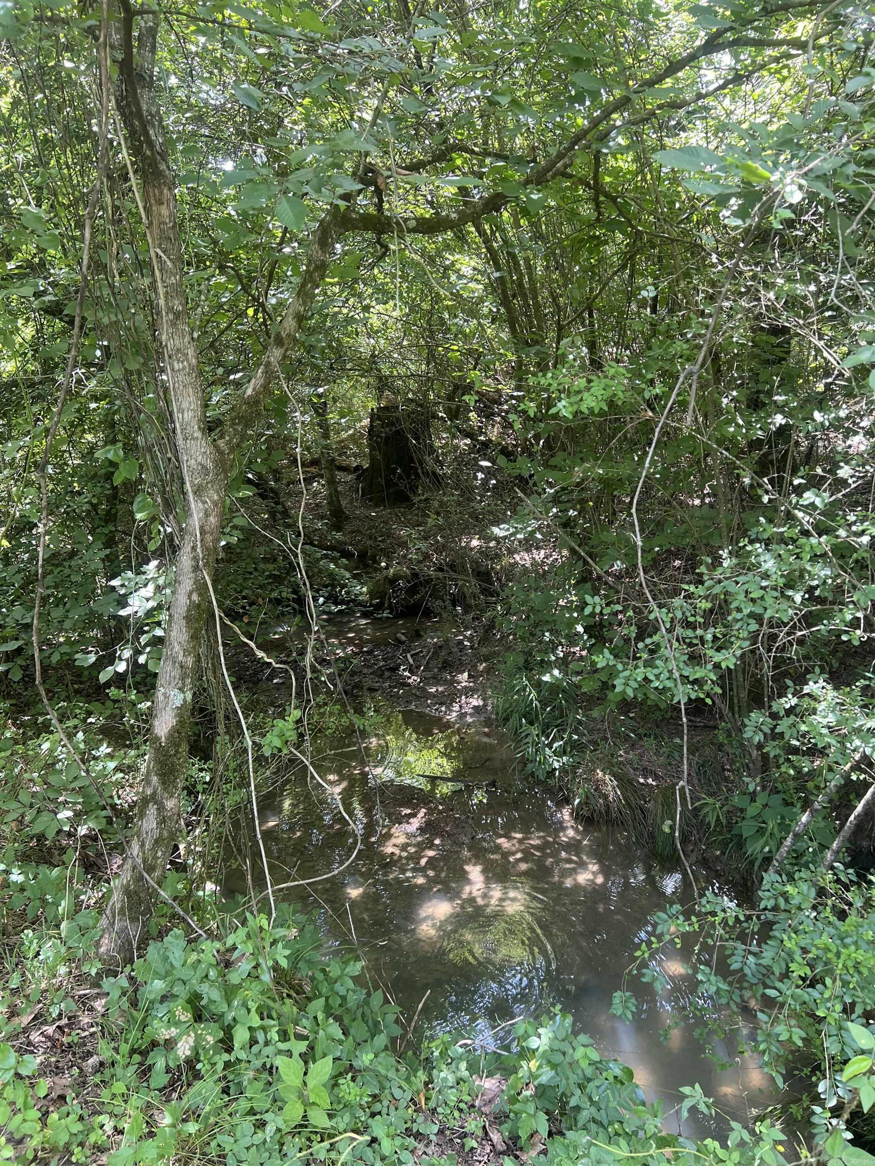 352 King  Gillham, AR