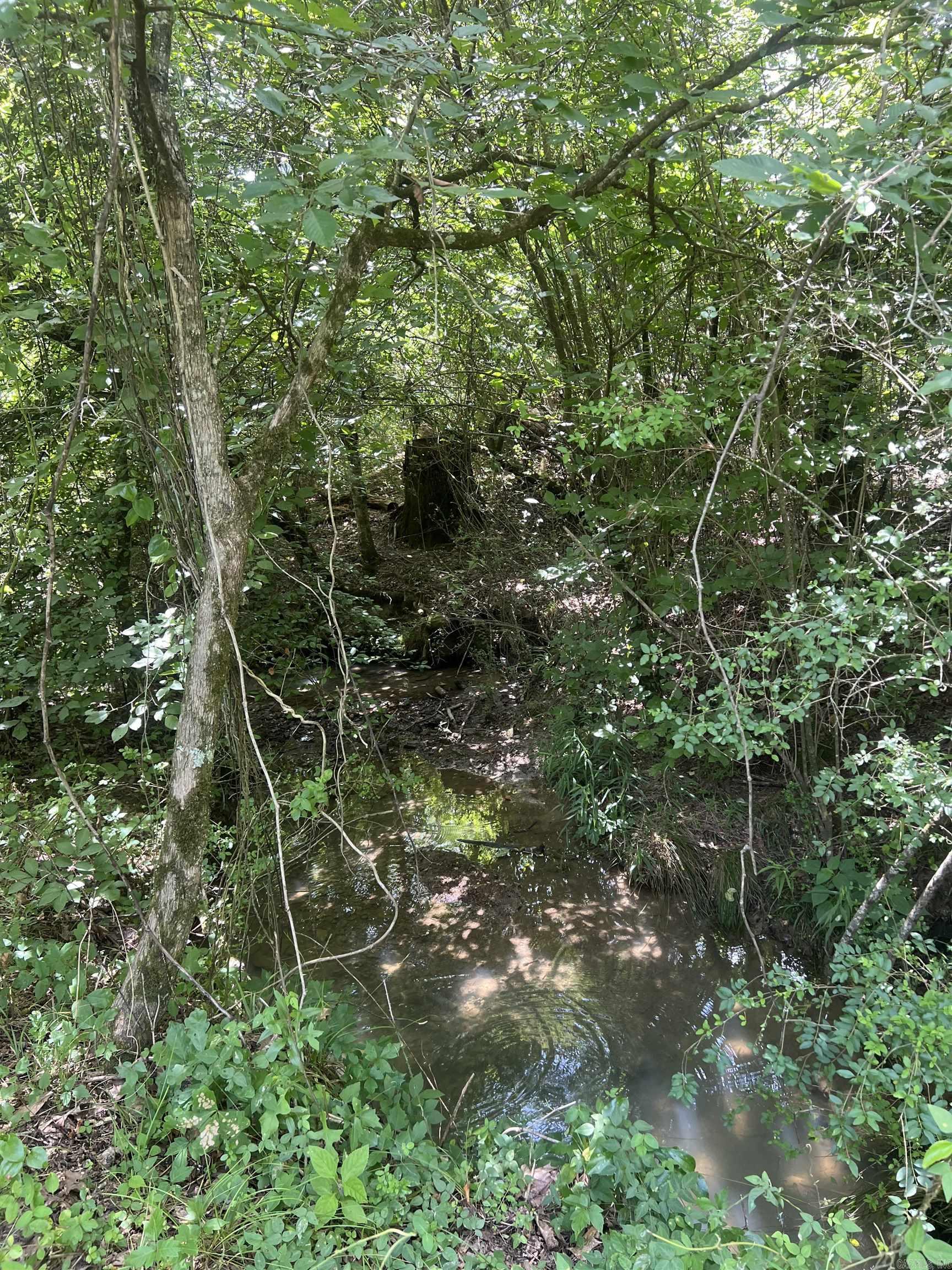 352 King  Gillham, AR