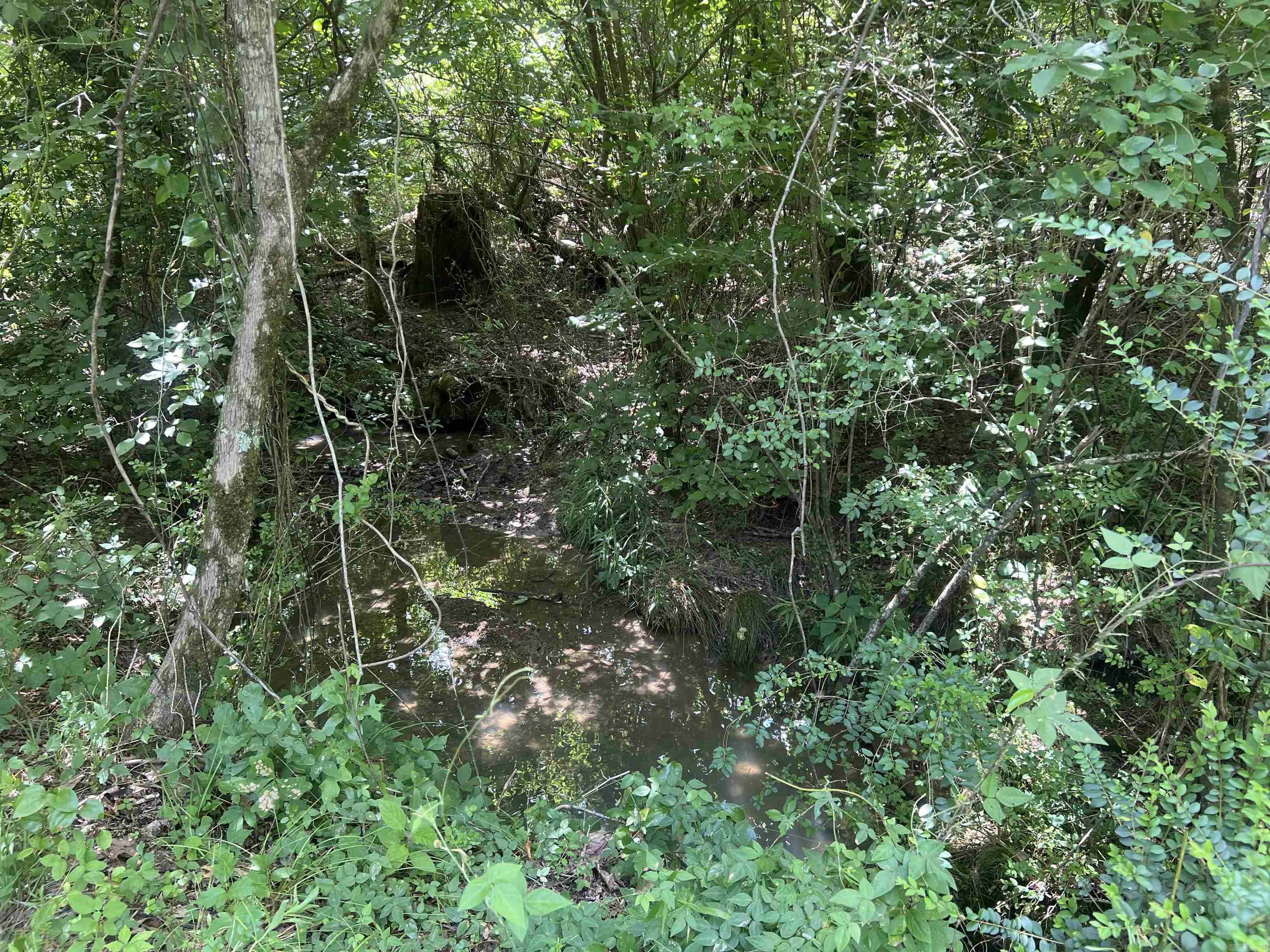 352 King  Gillham, AR