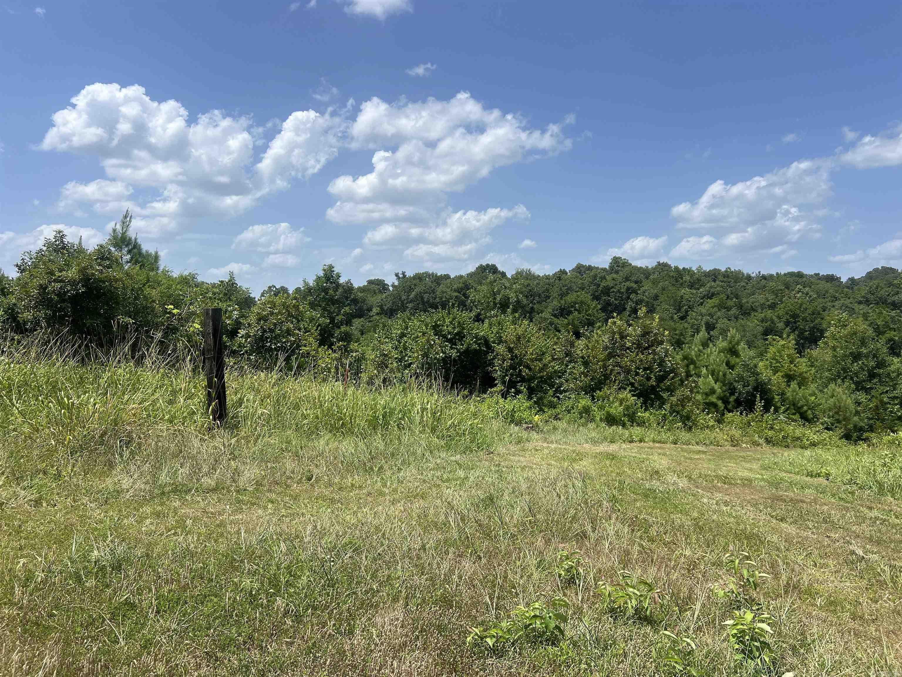 352 King  Gillham, AR