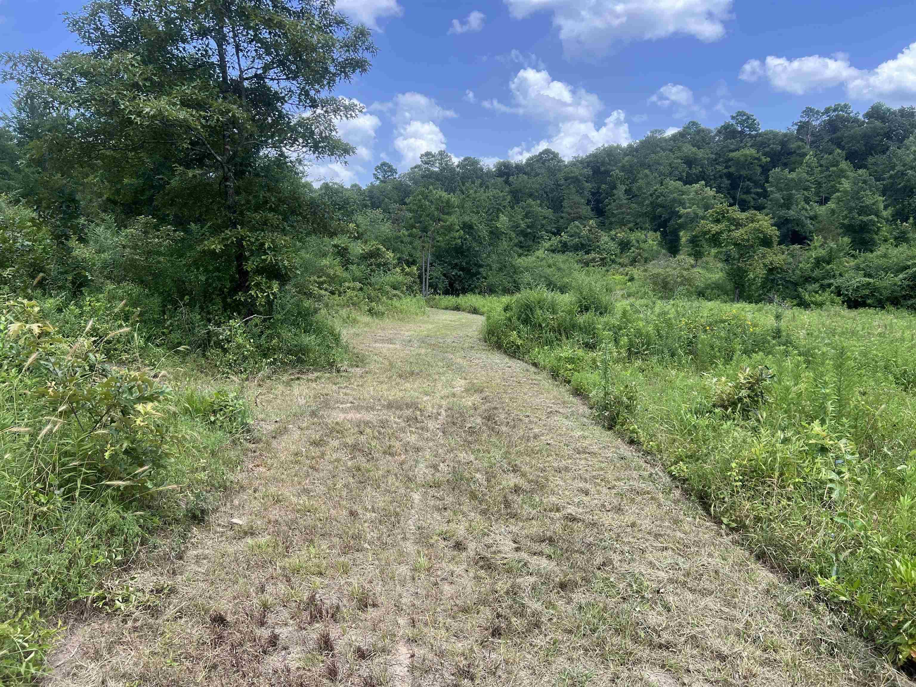 352 King  Gillham, AR