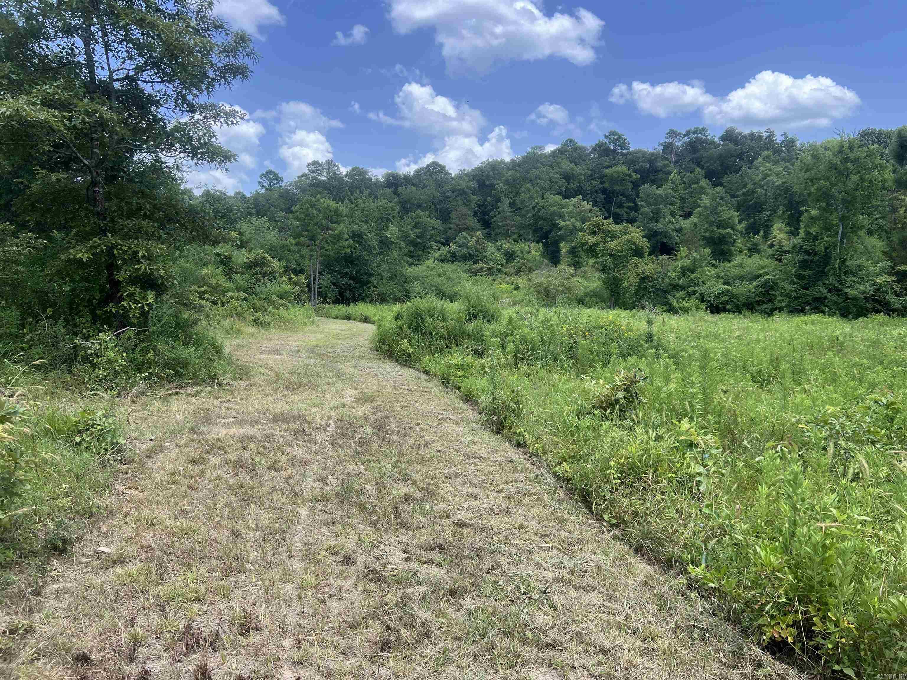 352 King  Gillham, AR